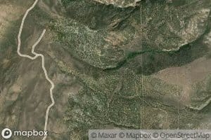 Shindy Spring