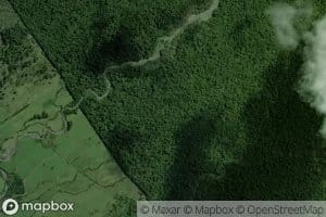 Waiaua Fork Stream