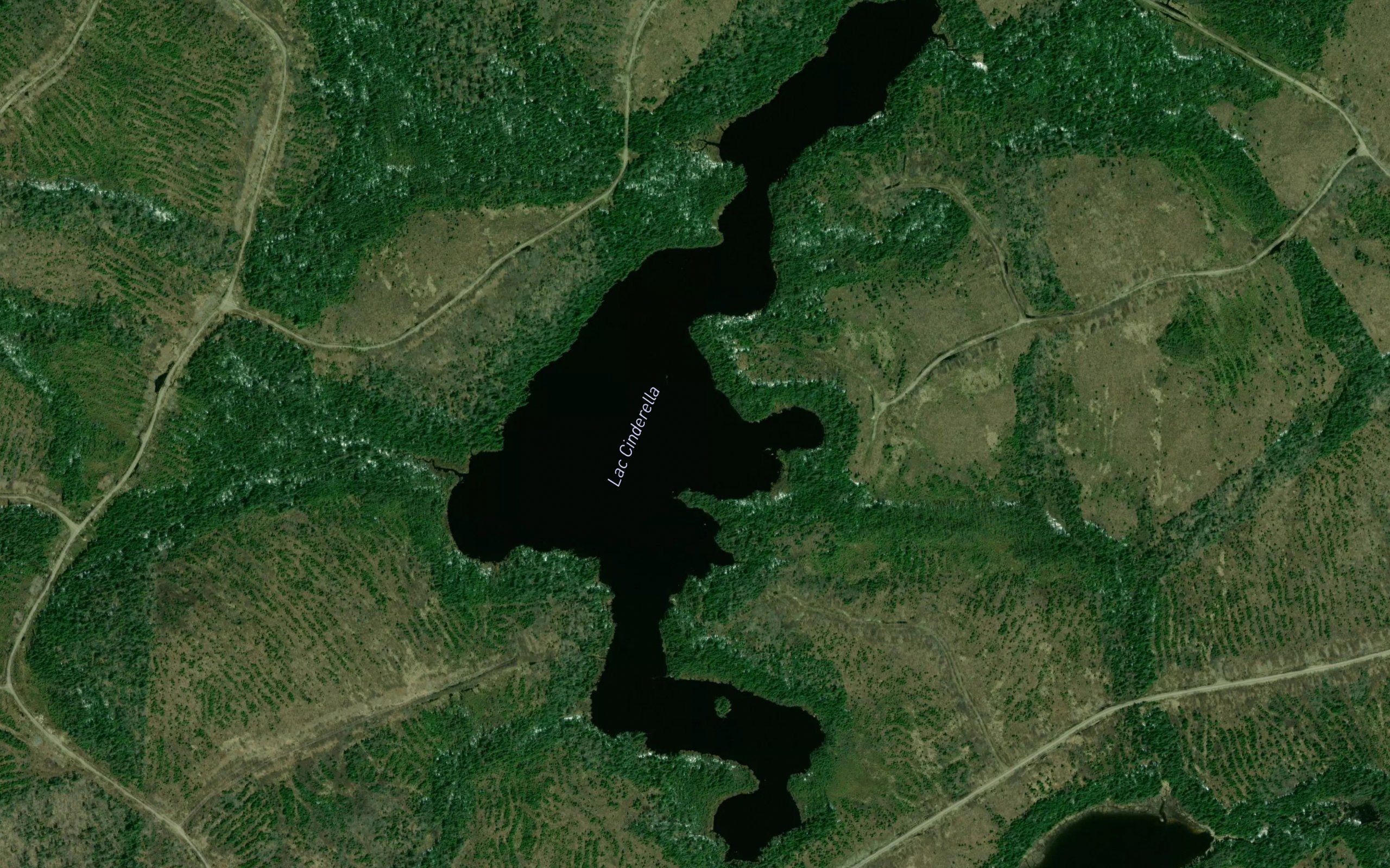 Lac Cinderella