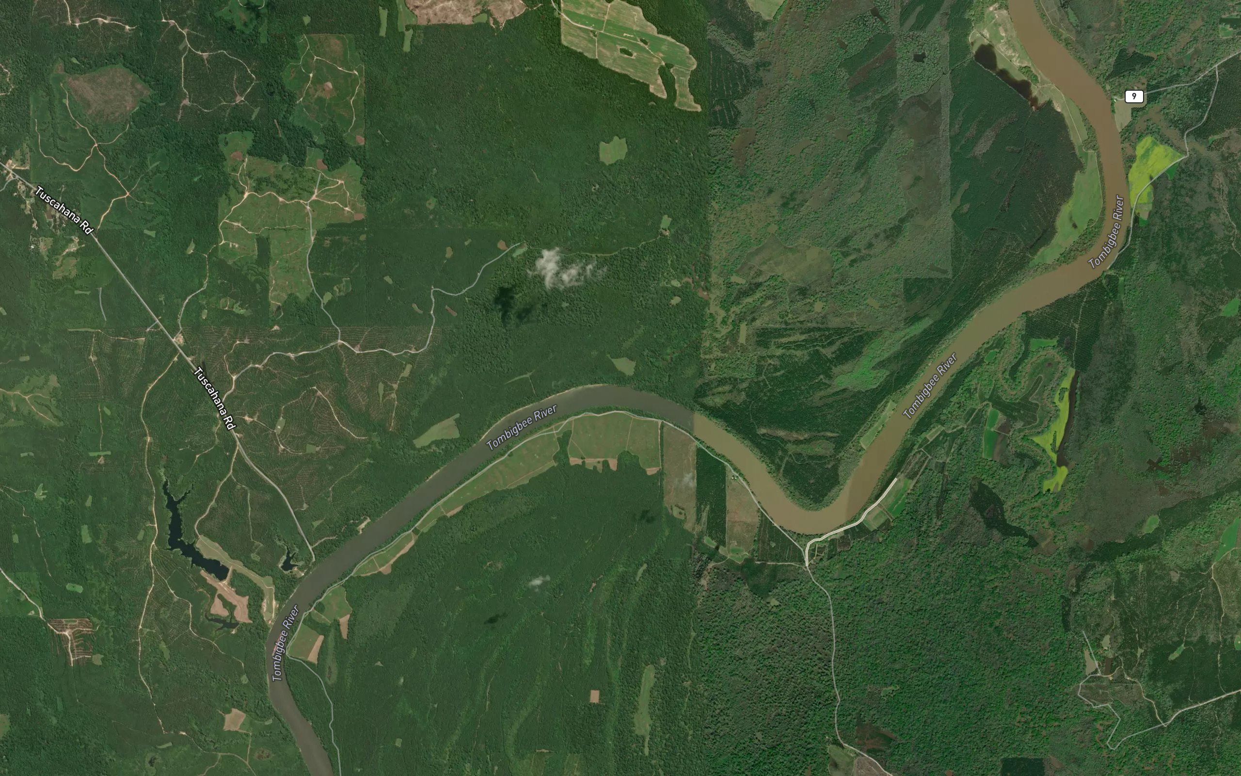 Sucarbowa Creek