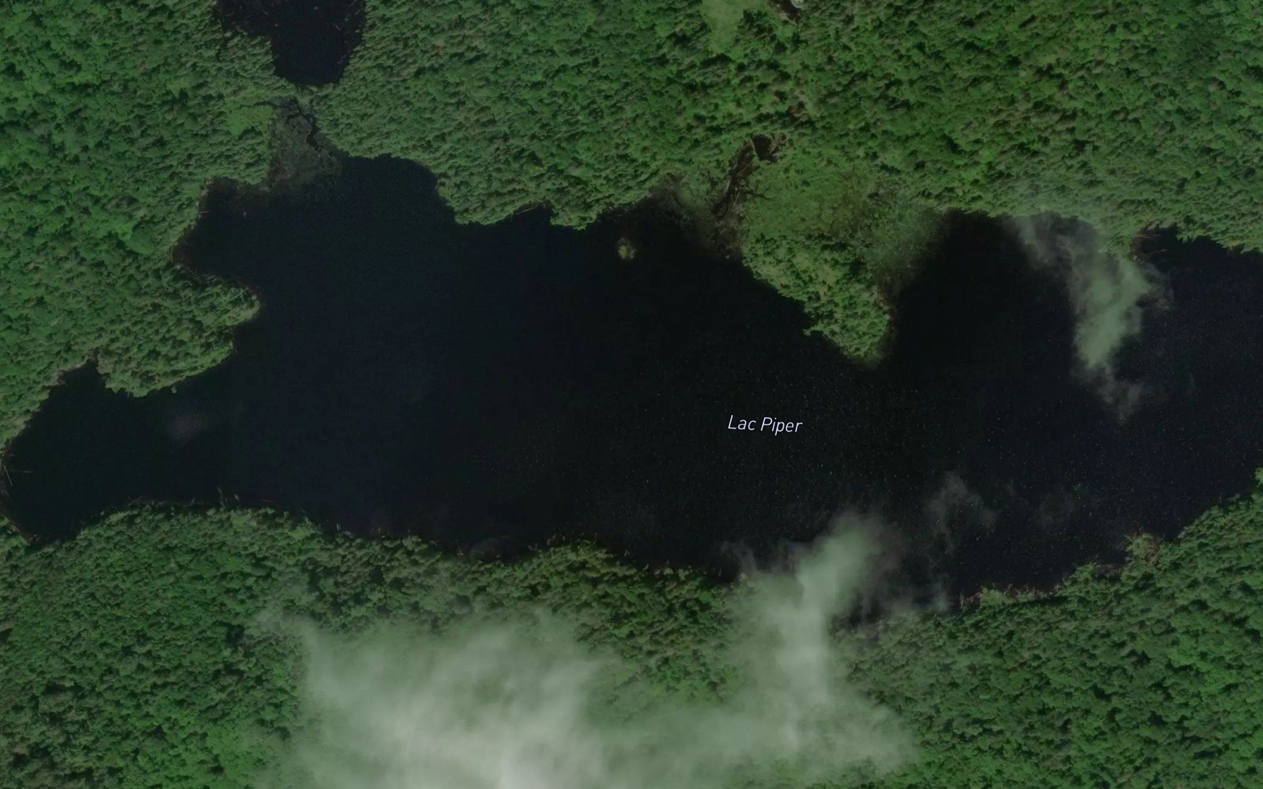Lac Piper