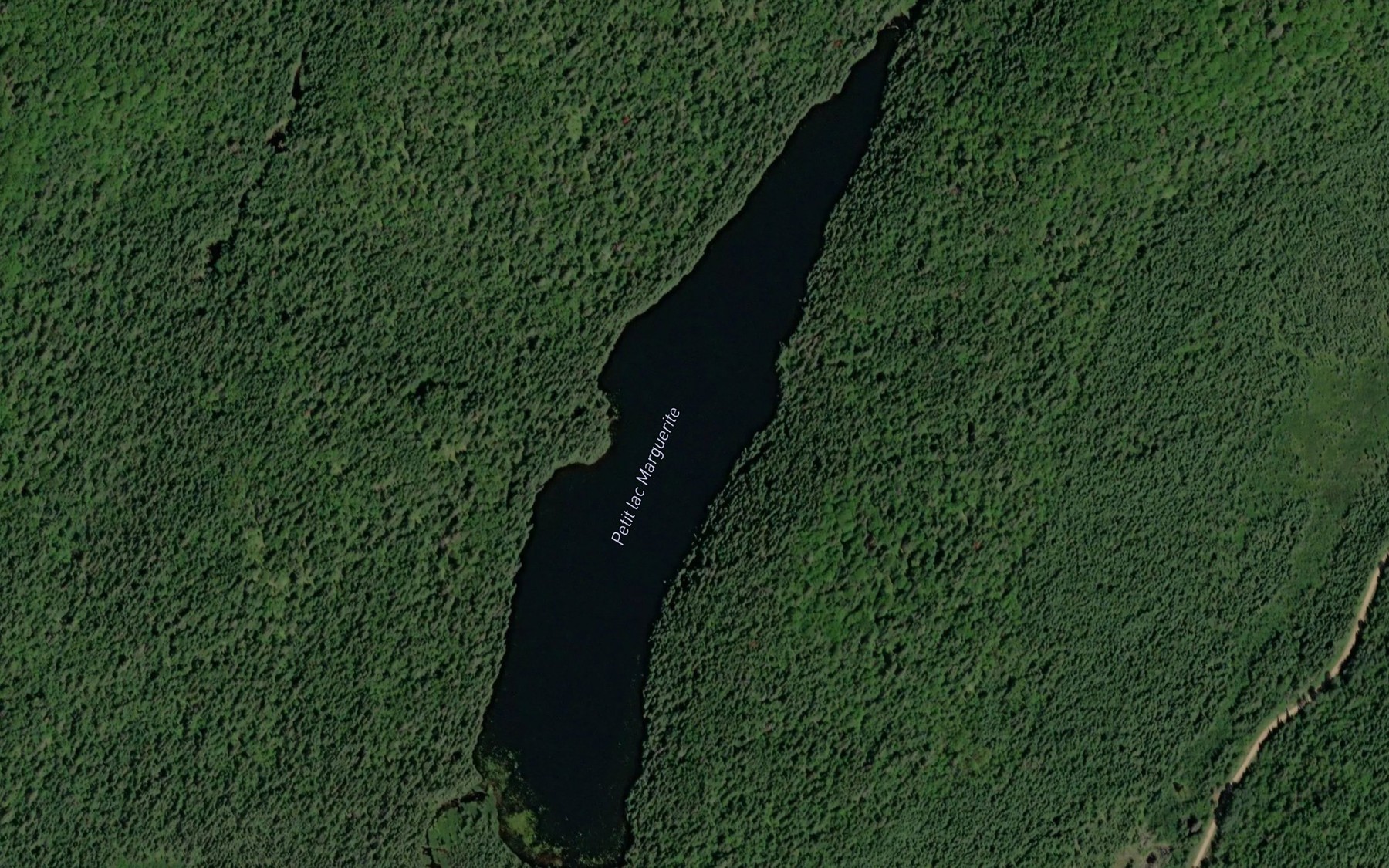 Satellite map of the Petit lac Marguerite