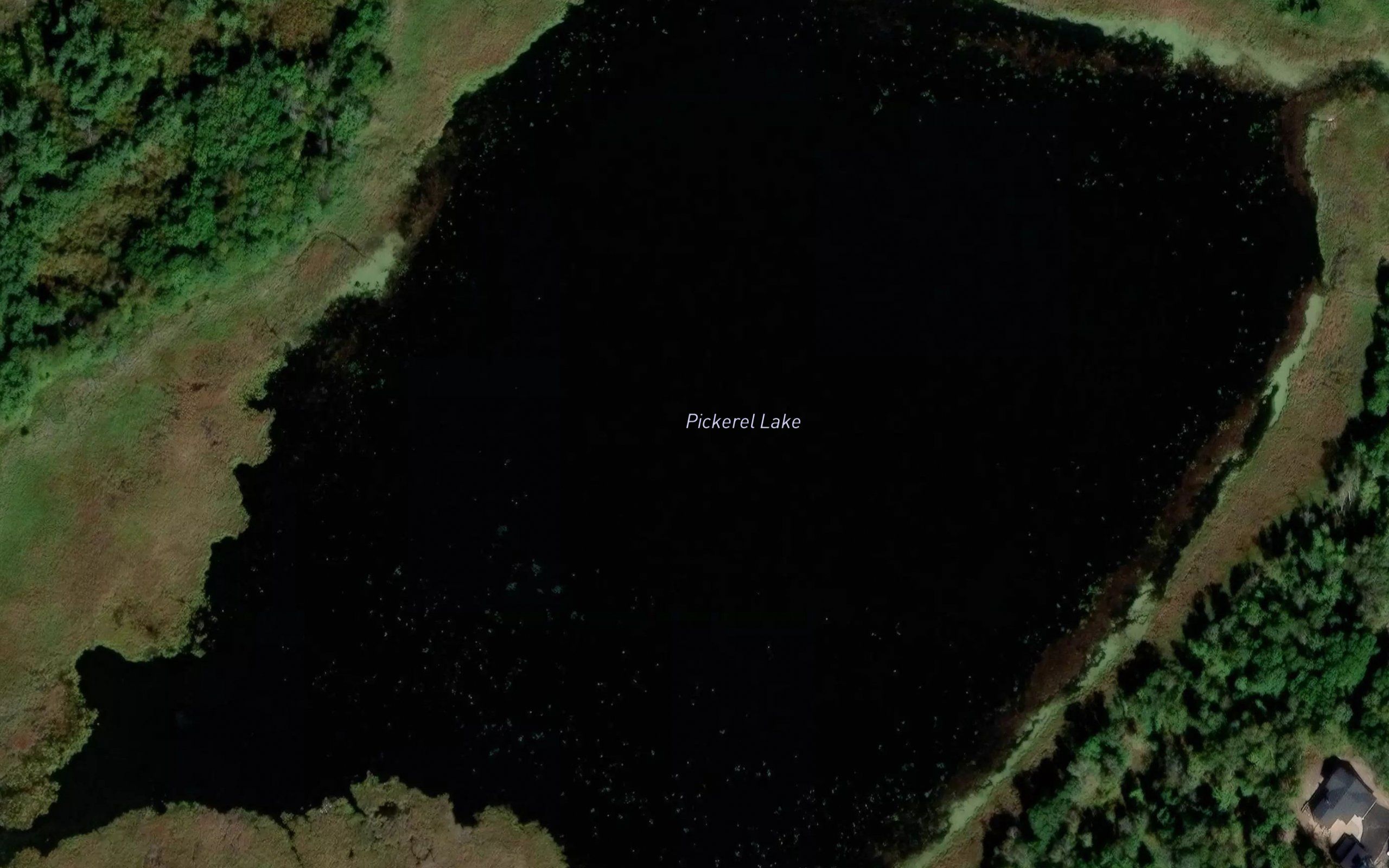Pickerel Lake