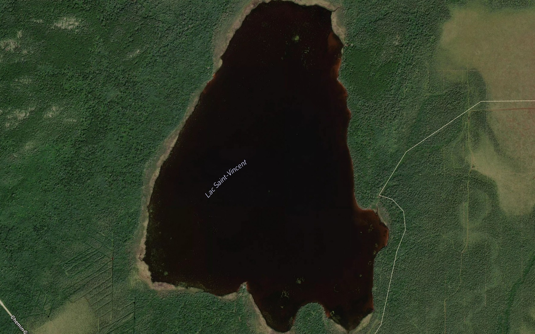 Satellite map of the Lac Saint-Vincent