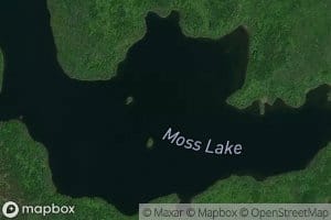 Moss Lake