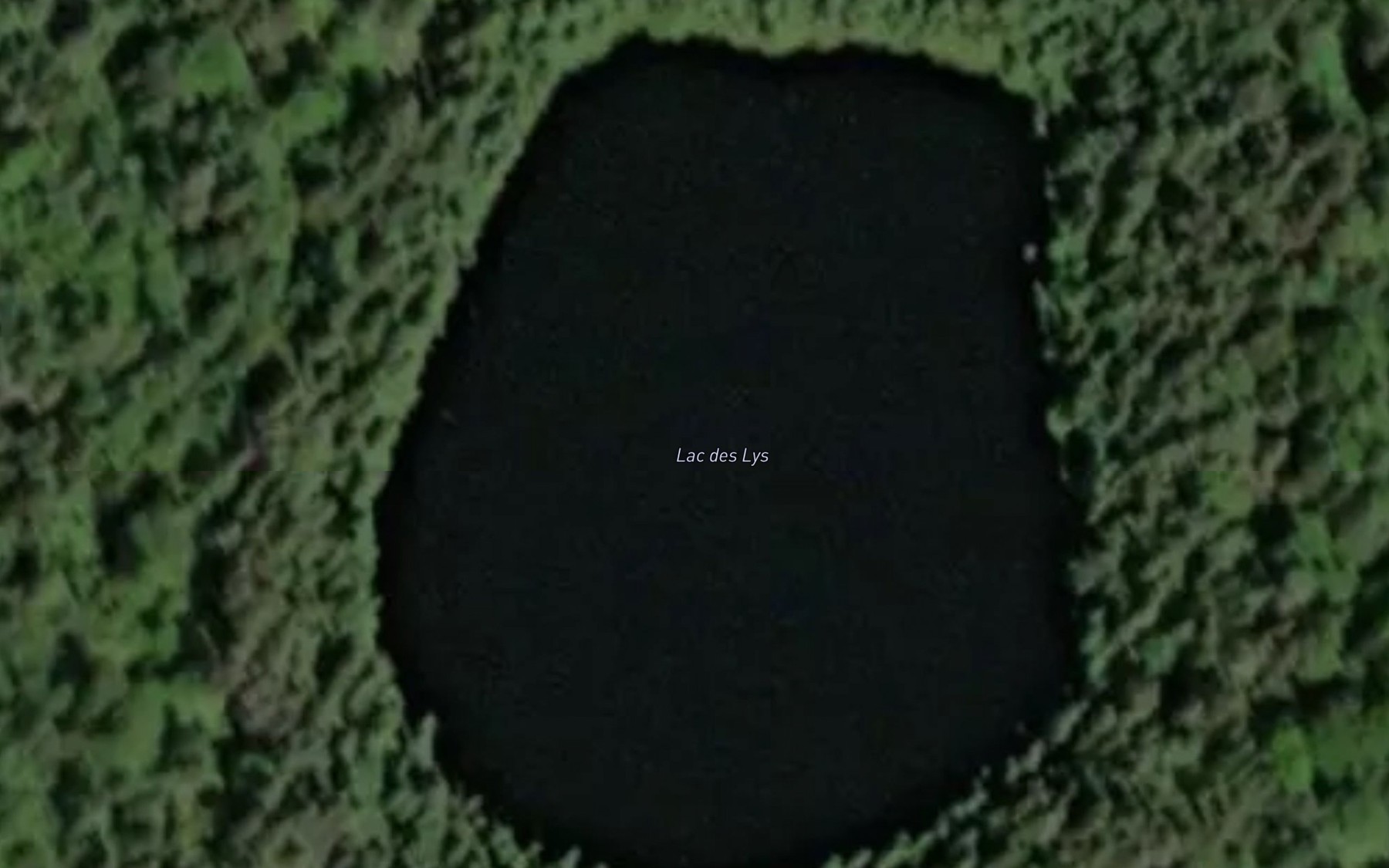 Satellite map of the Lac des Lys