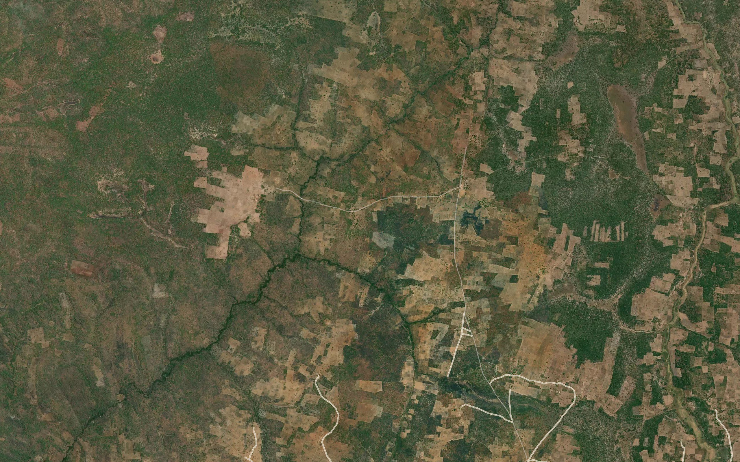 Chipawa