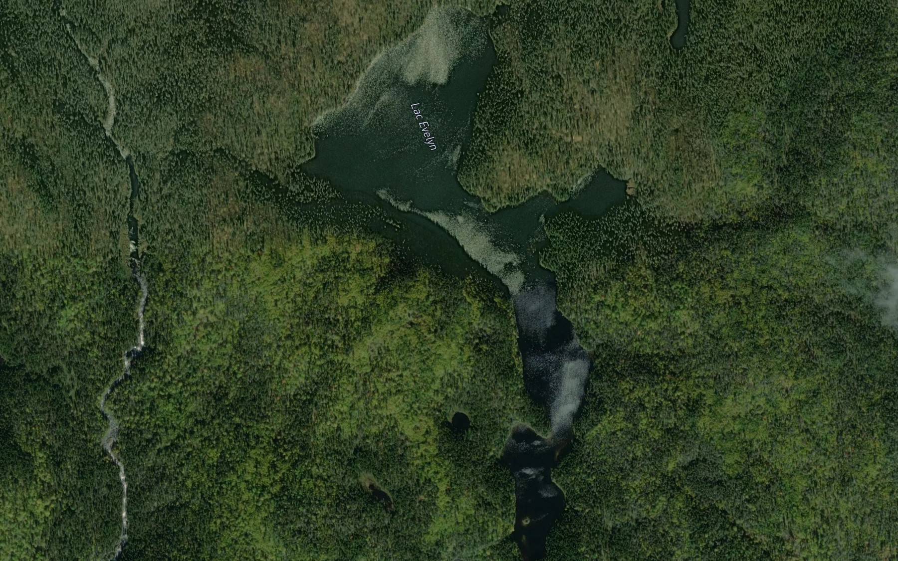 Satellite map of the Lac Evelyn