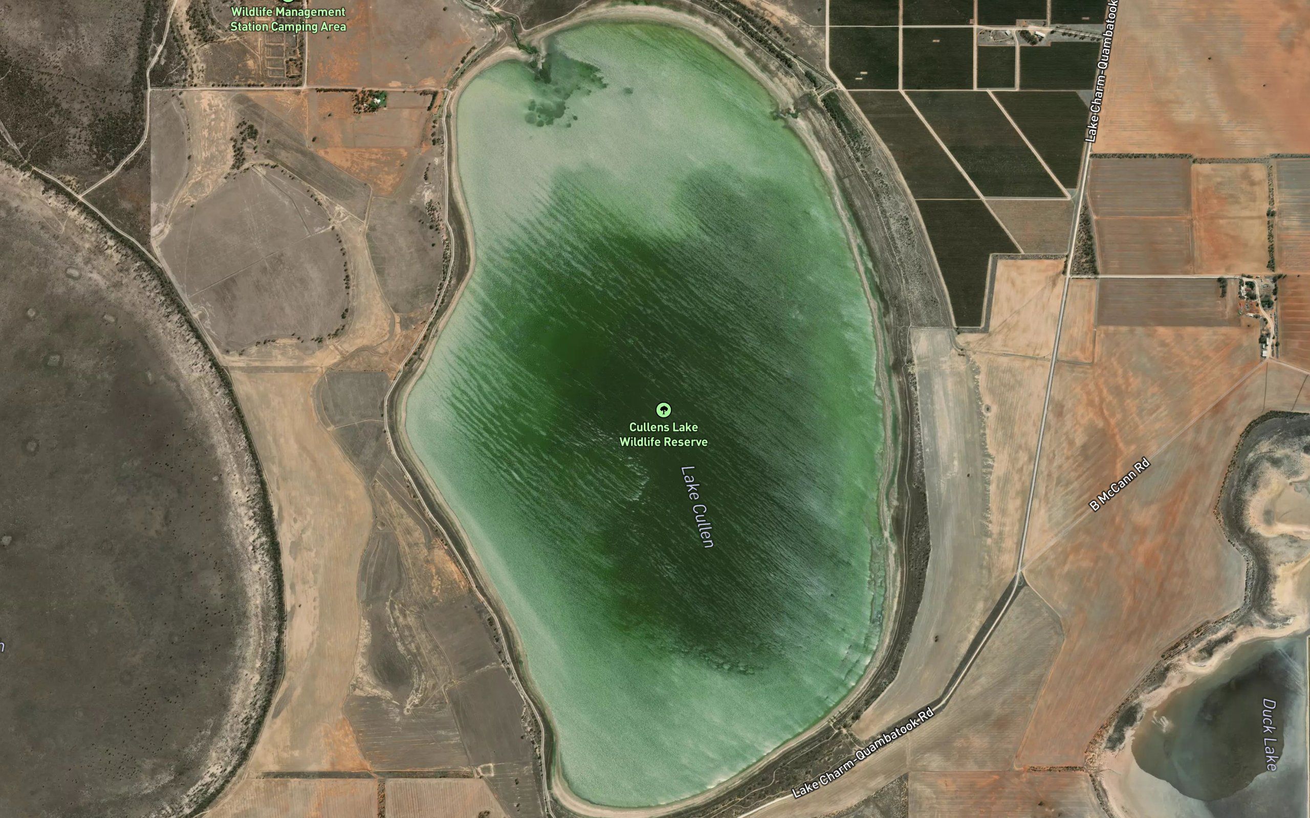 Lake Cullens