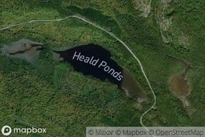 Heald Ponds