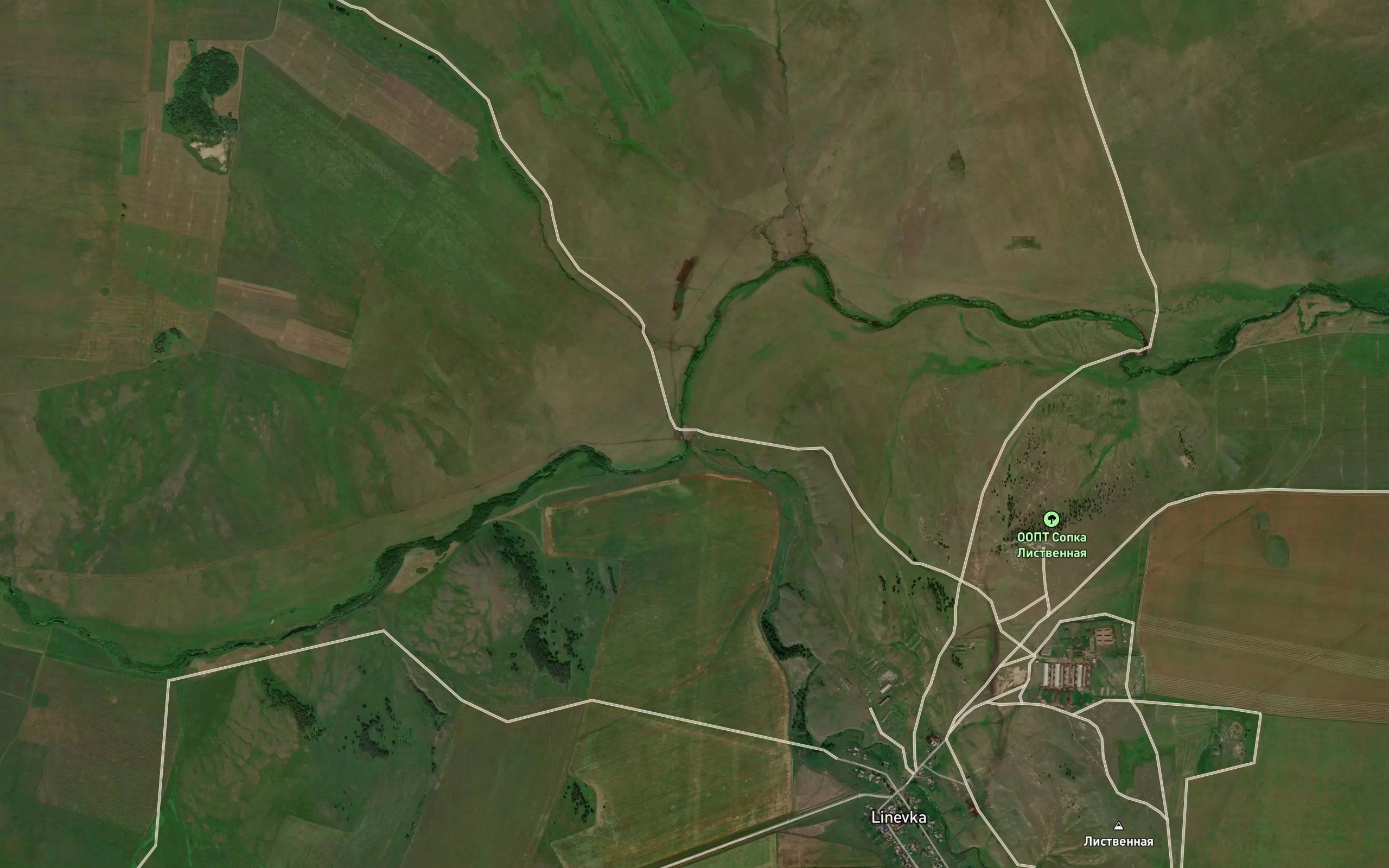 Linevka