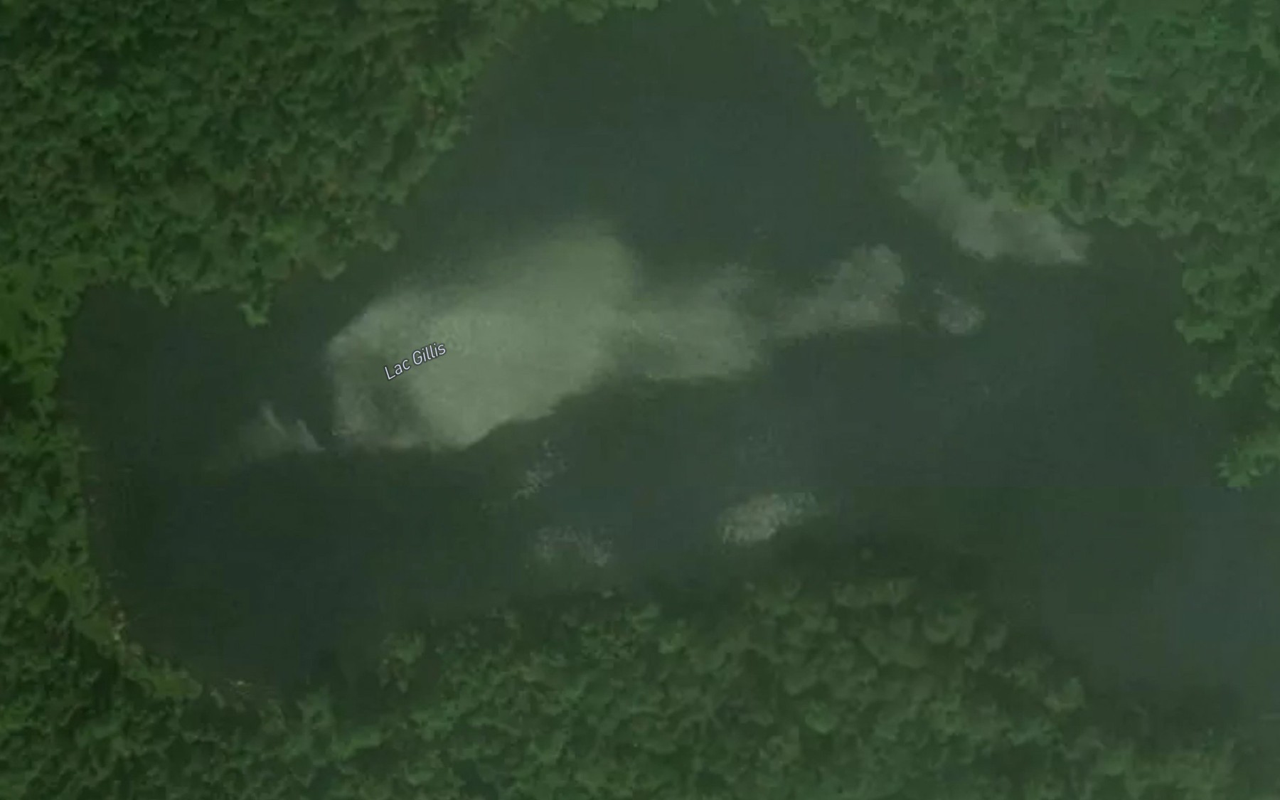 Satellite map of the Lac Gillis