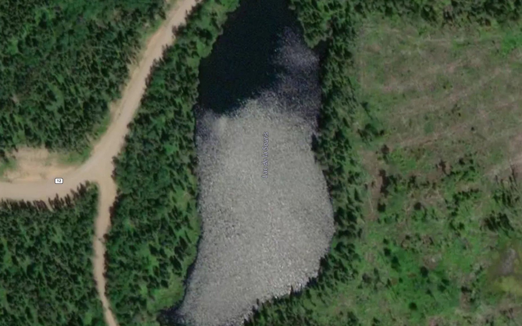 Satellite map of the Lac de la Souris
