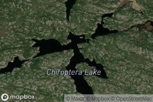 Chiroptera Lake