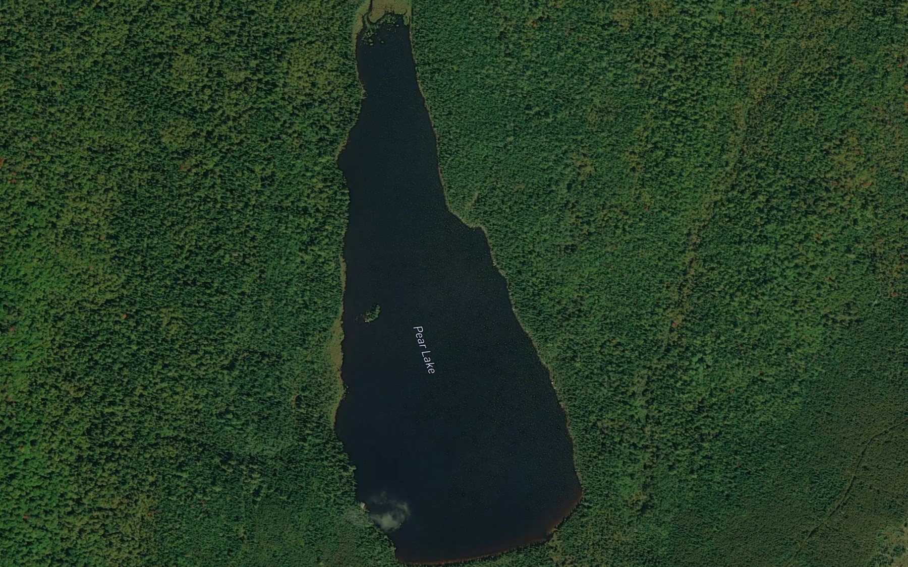 Satellite map of the Pear Lake