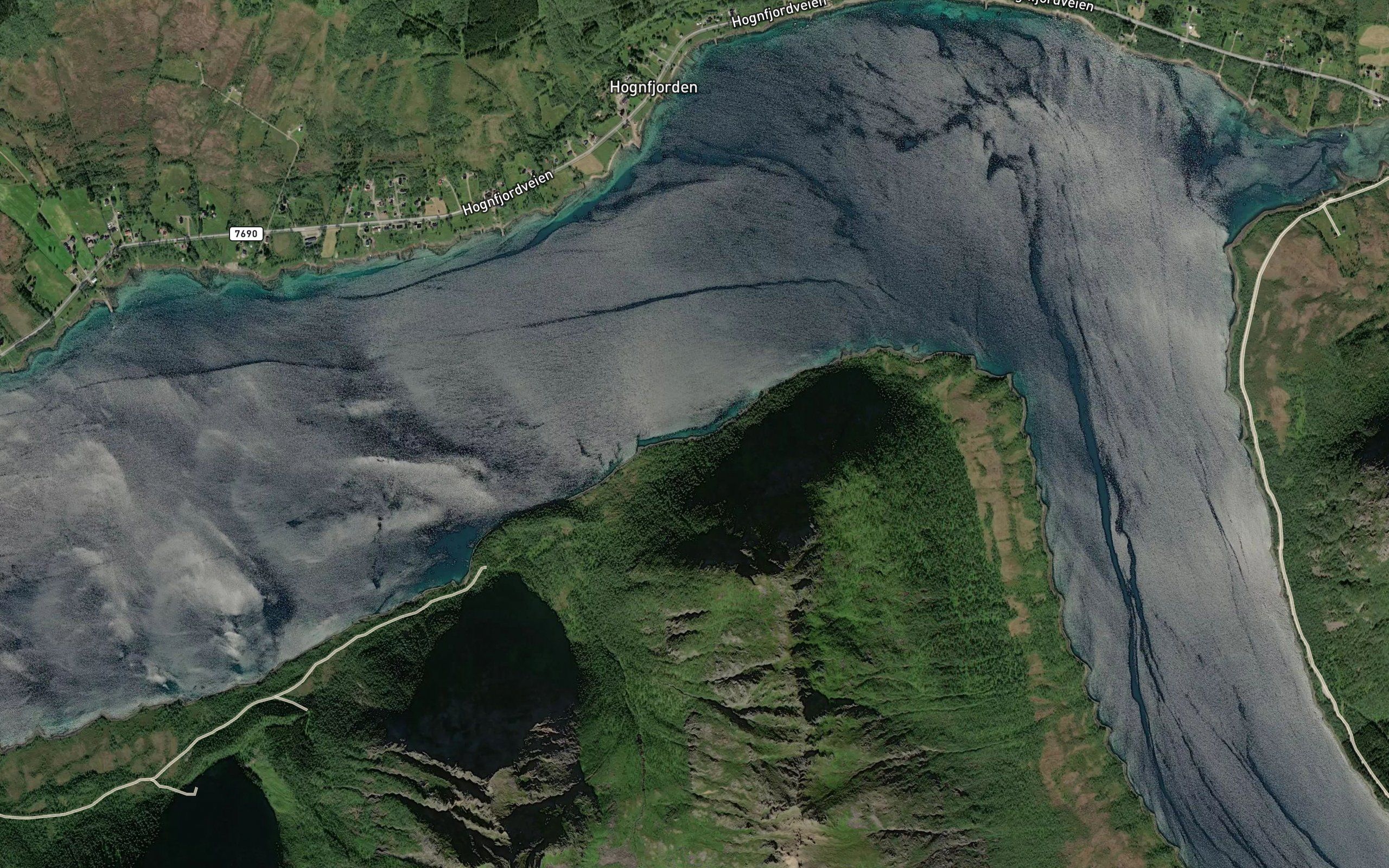Kalvvika