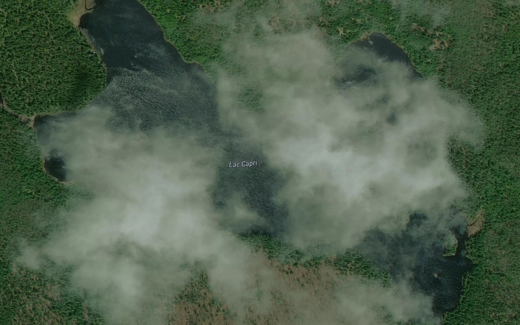 Satellite map of the Lac Capri