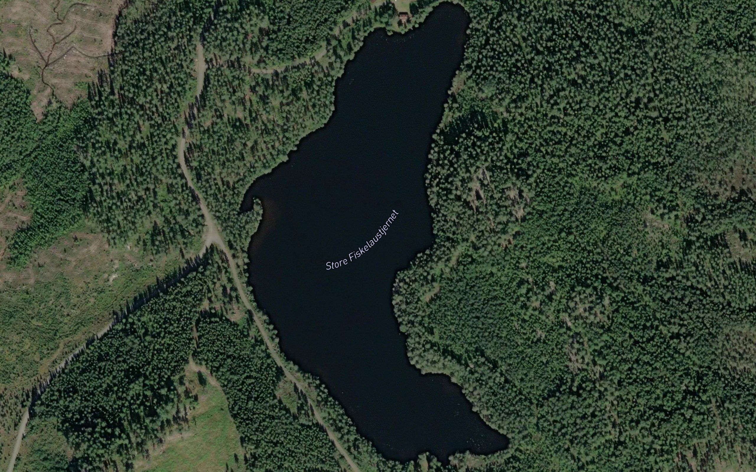 Store Fiskelaustjernet
