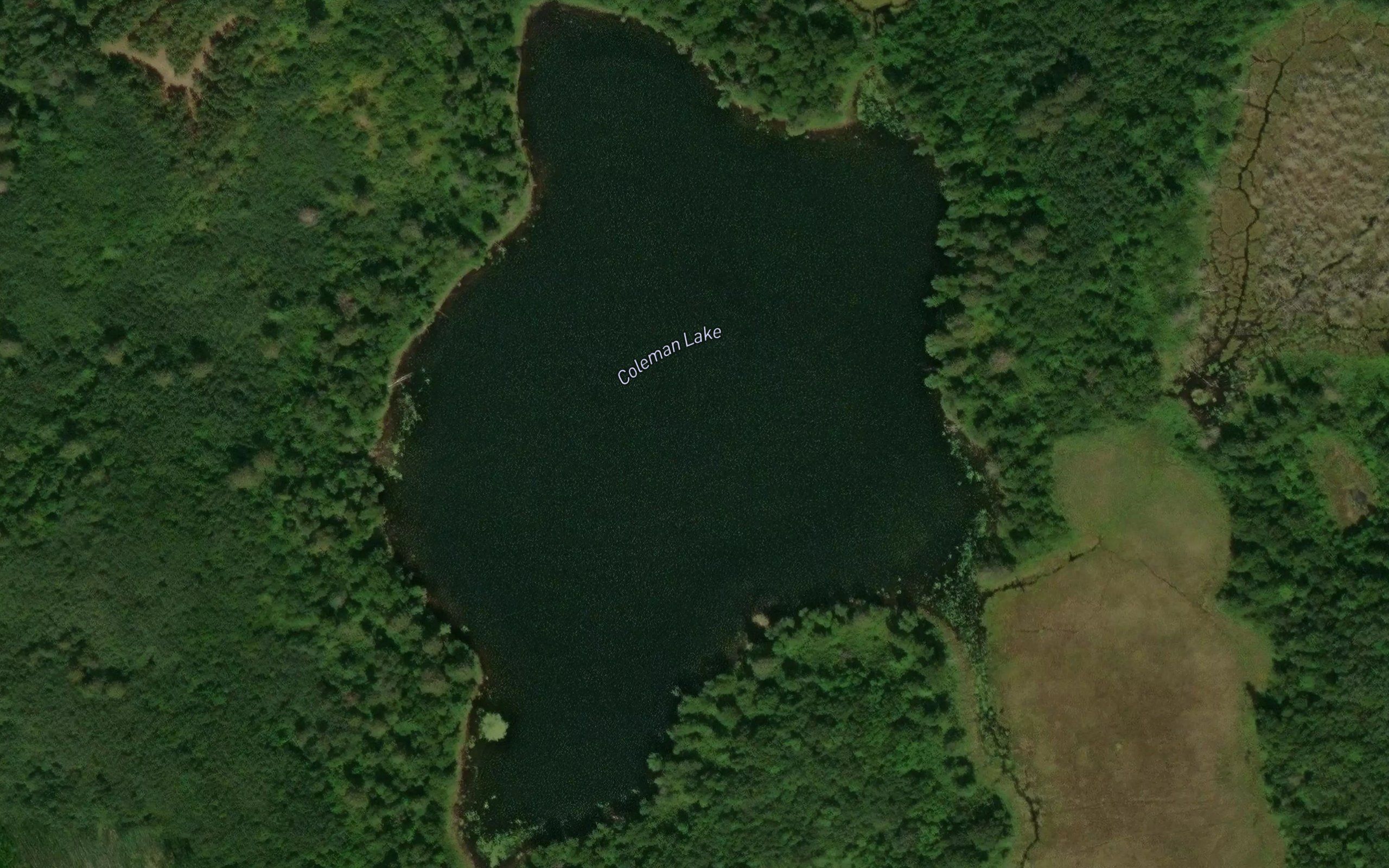 Coleman Lake