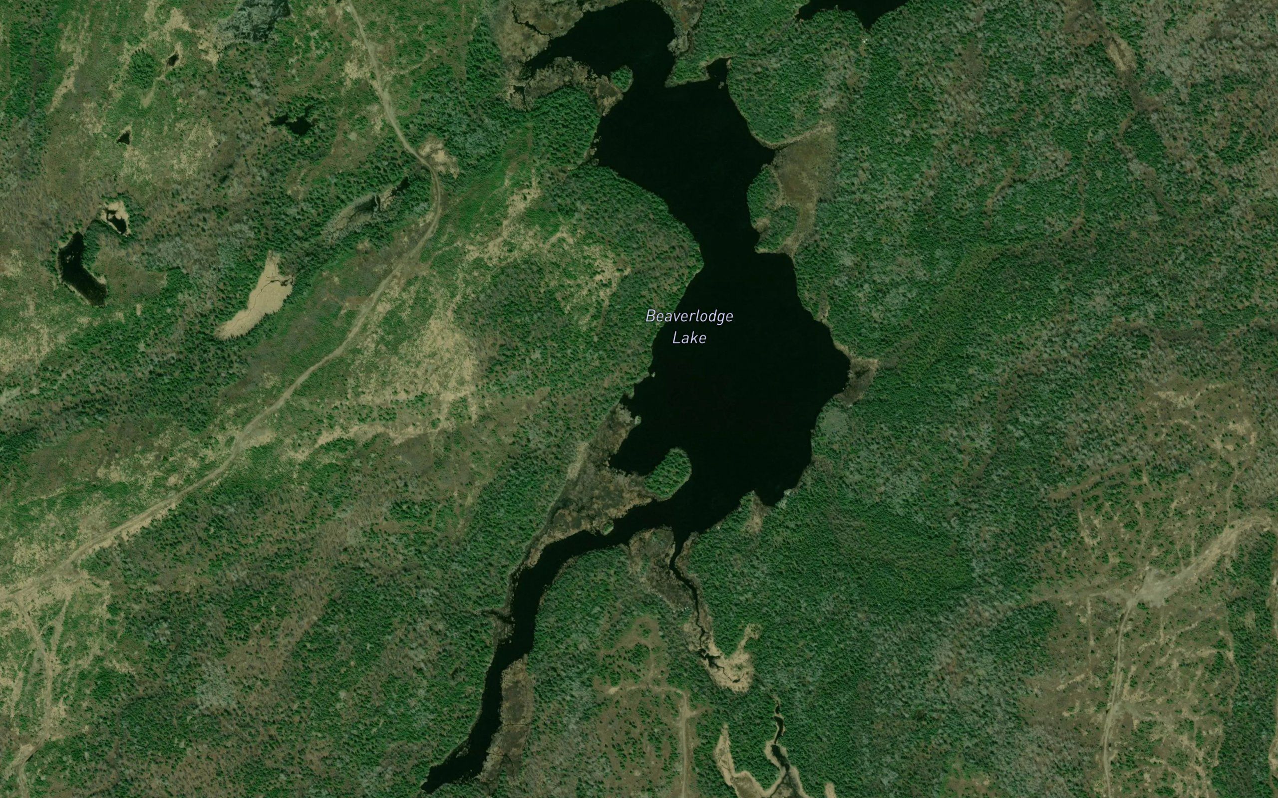 Beaverlodge Lake