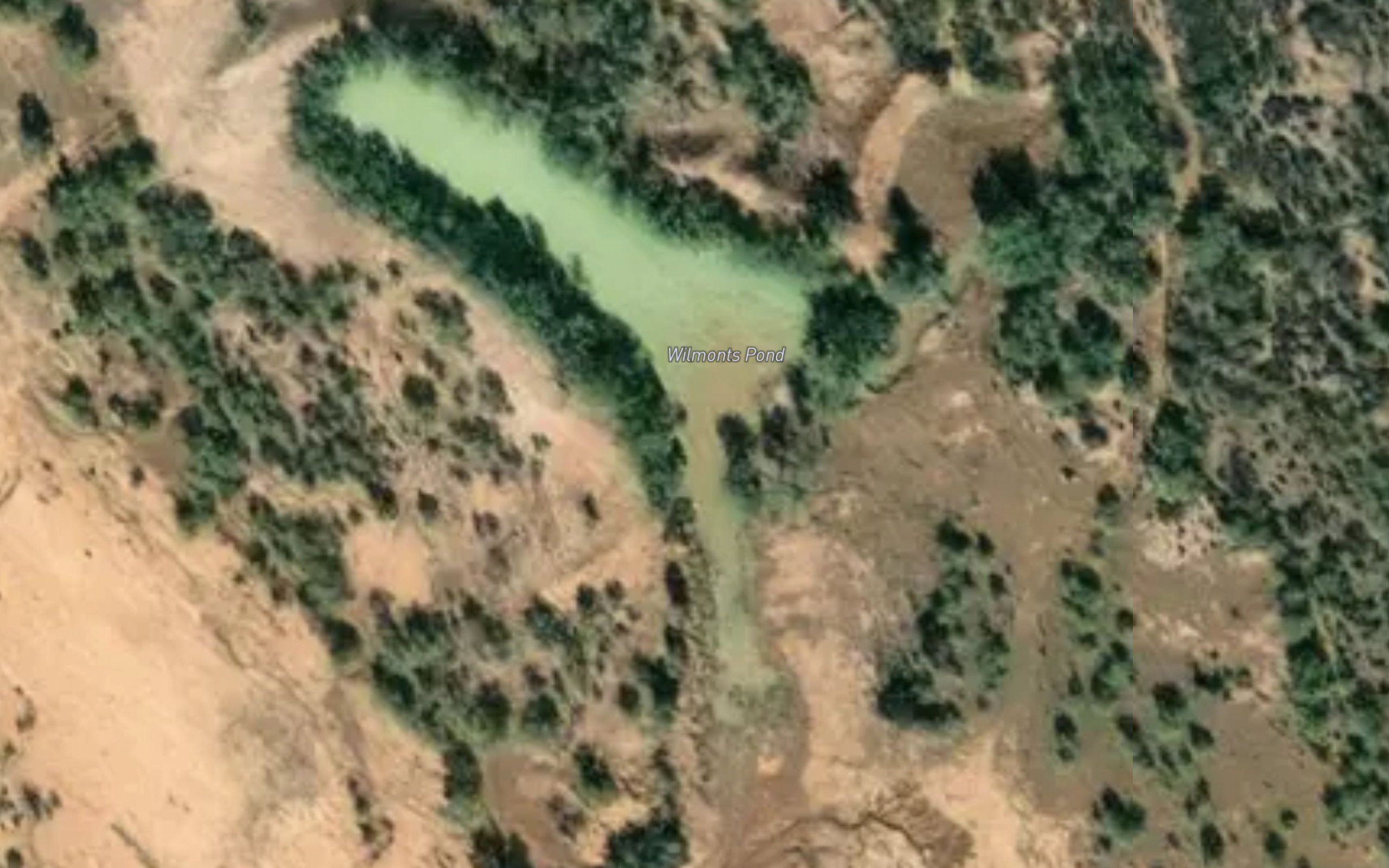 Wilmonts Pond