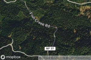 Forked Horn Creek