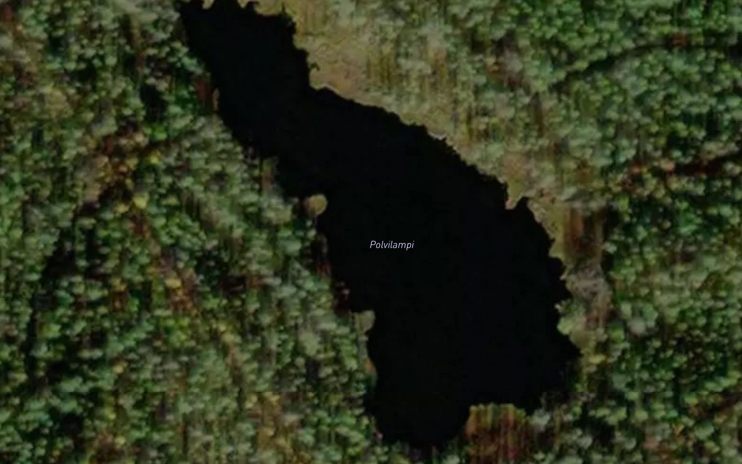 Polvilampi