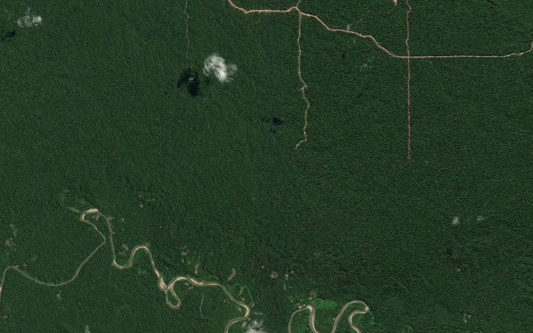 Satellite map of the Rio Curichari