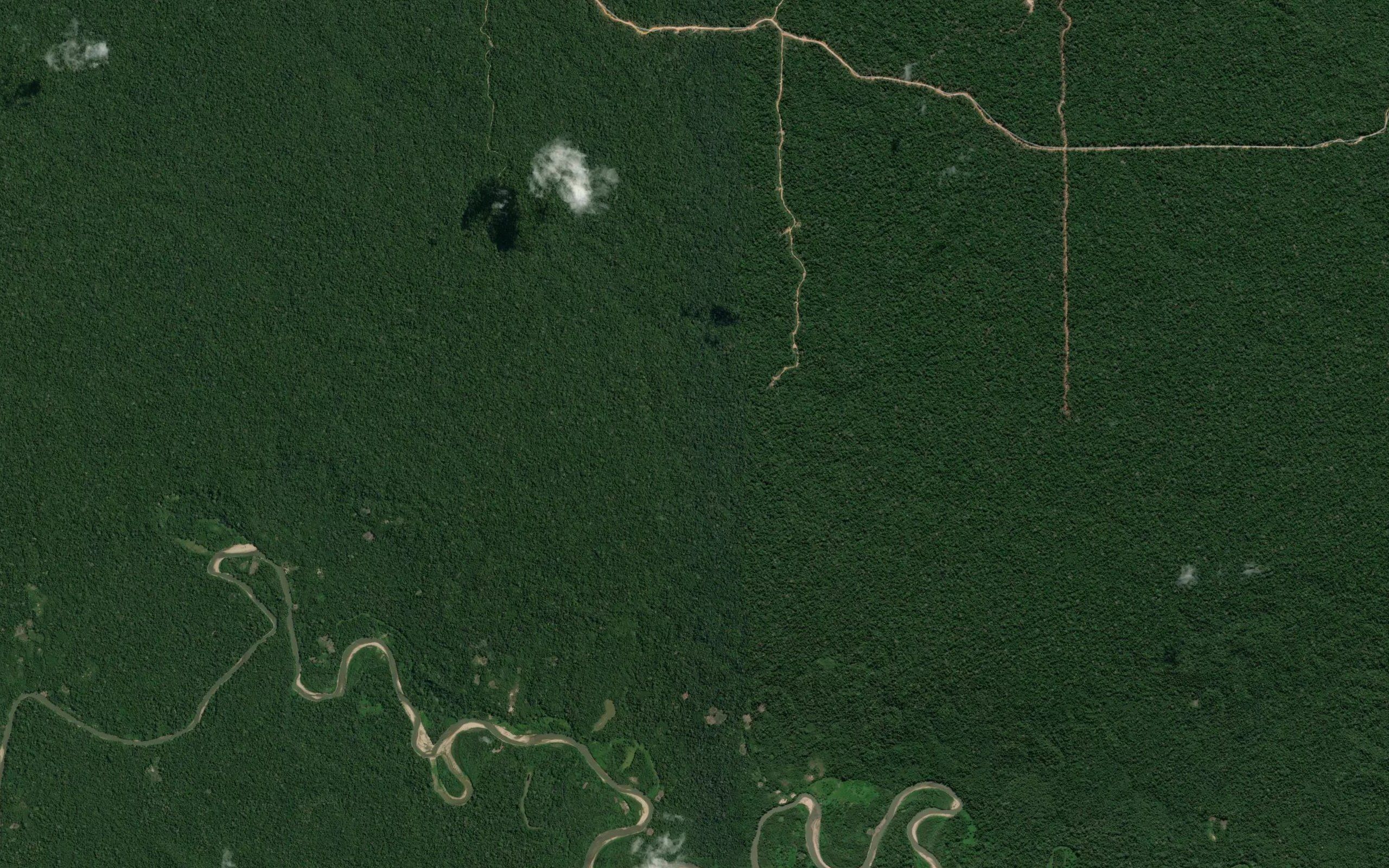 Rio Curichari