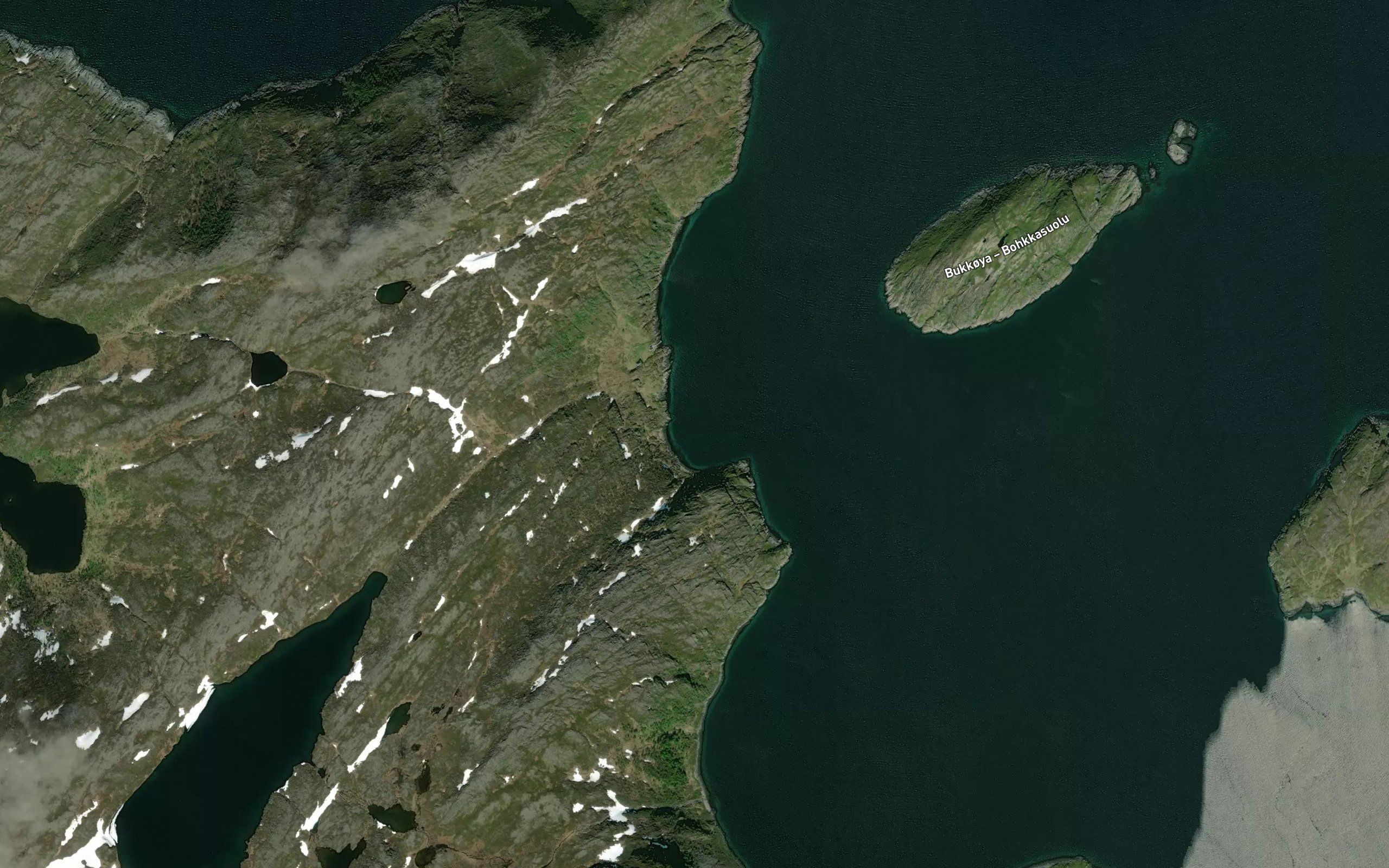 Tranbukta