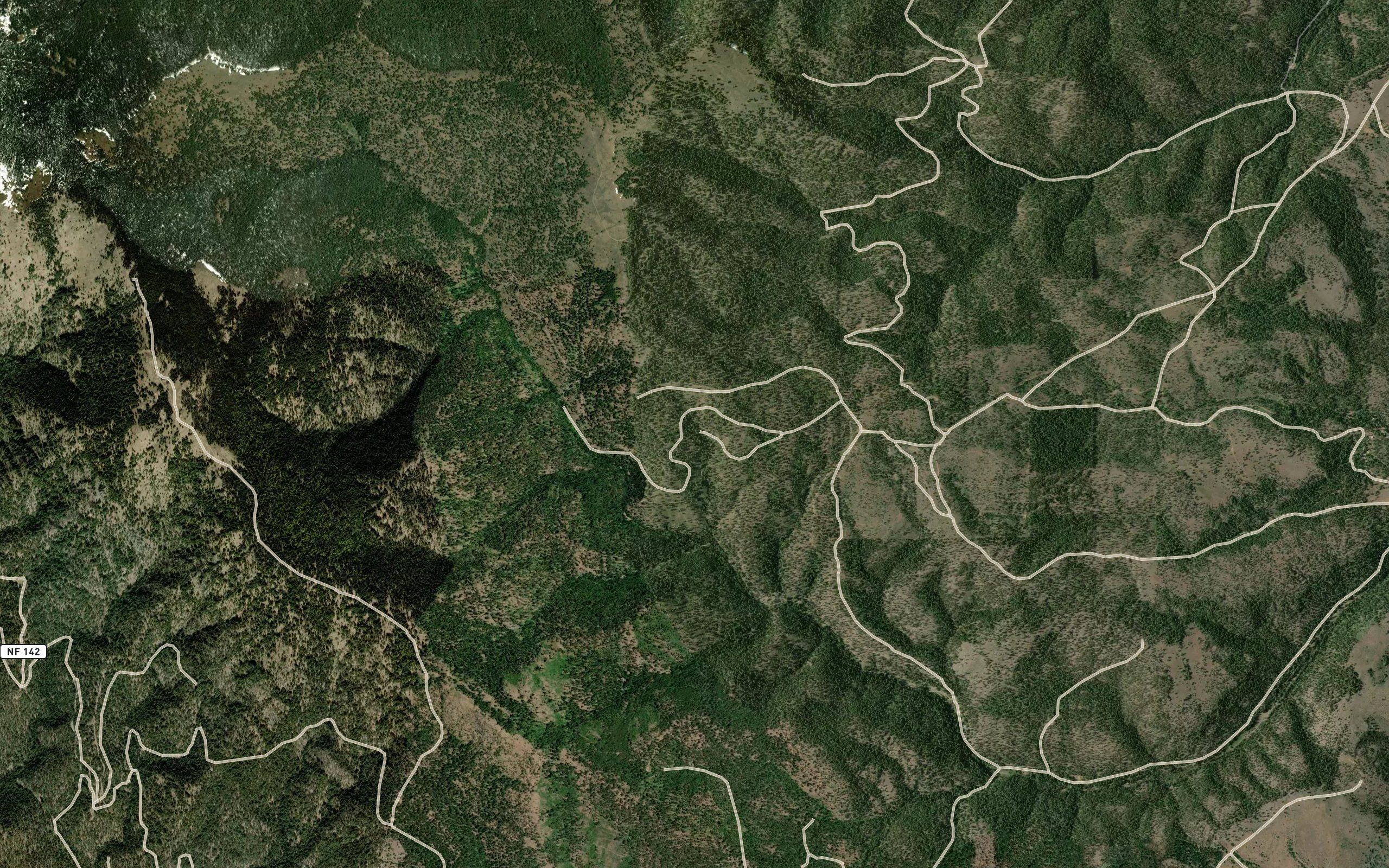 Elk Spring