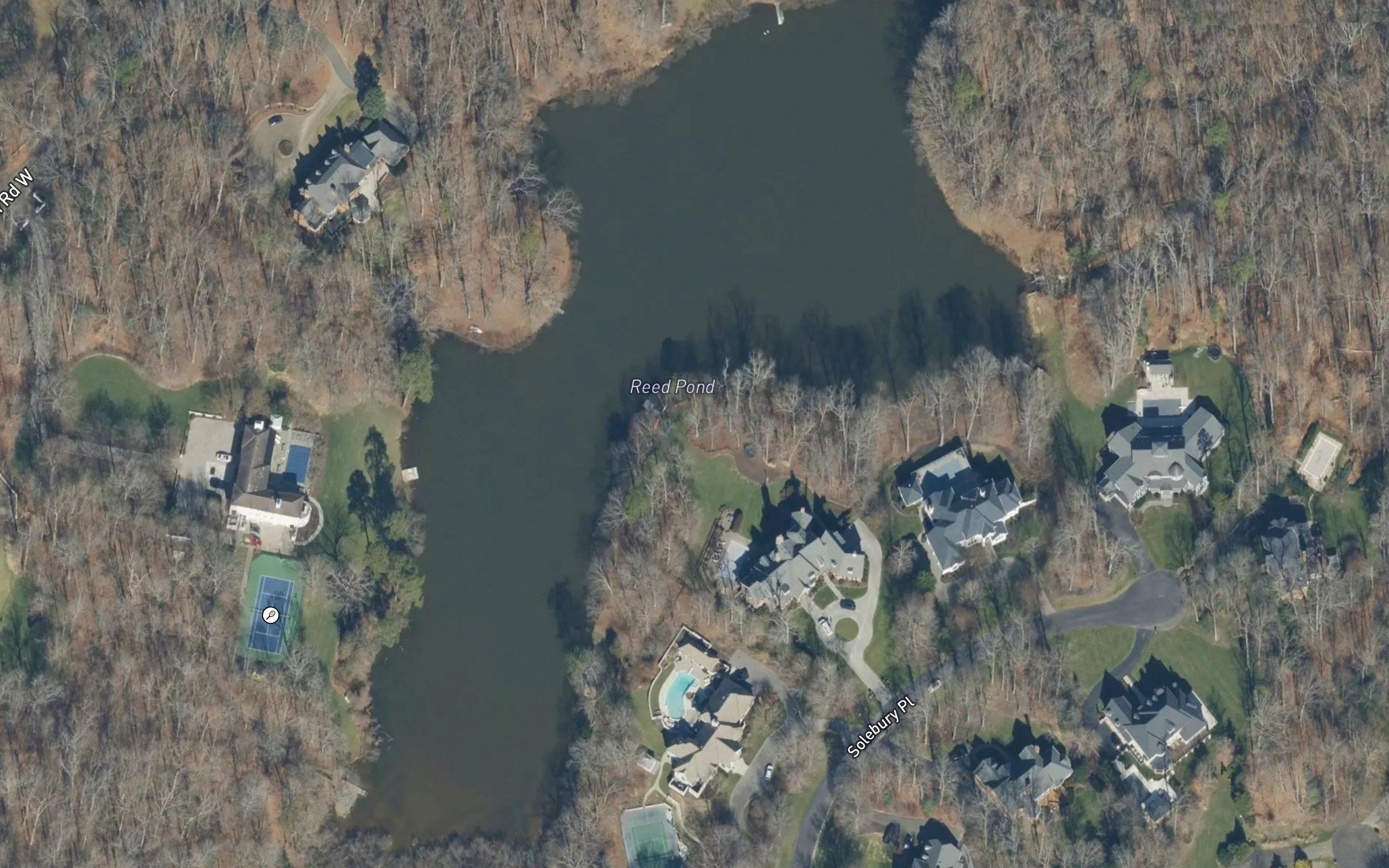 Reed Pond
