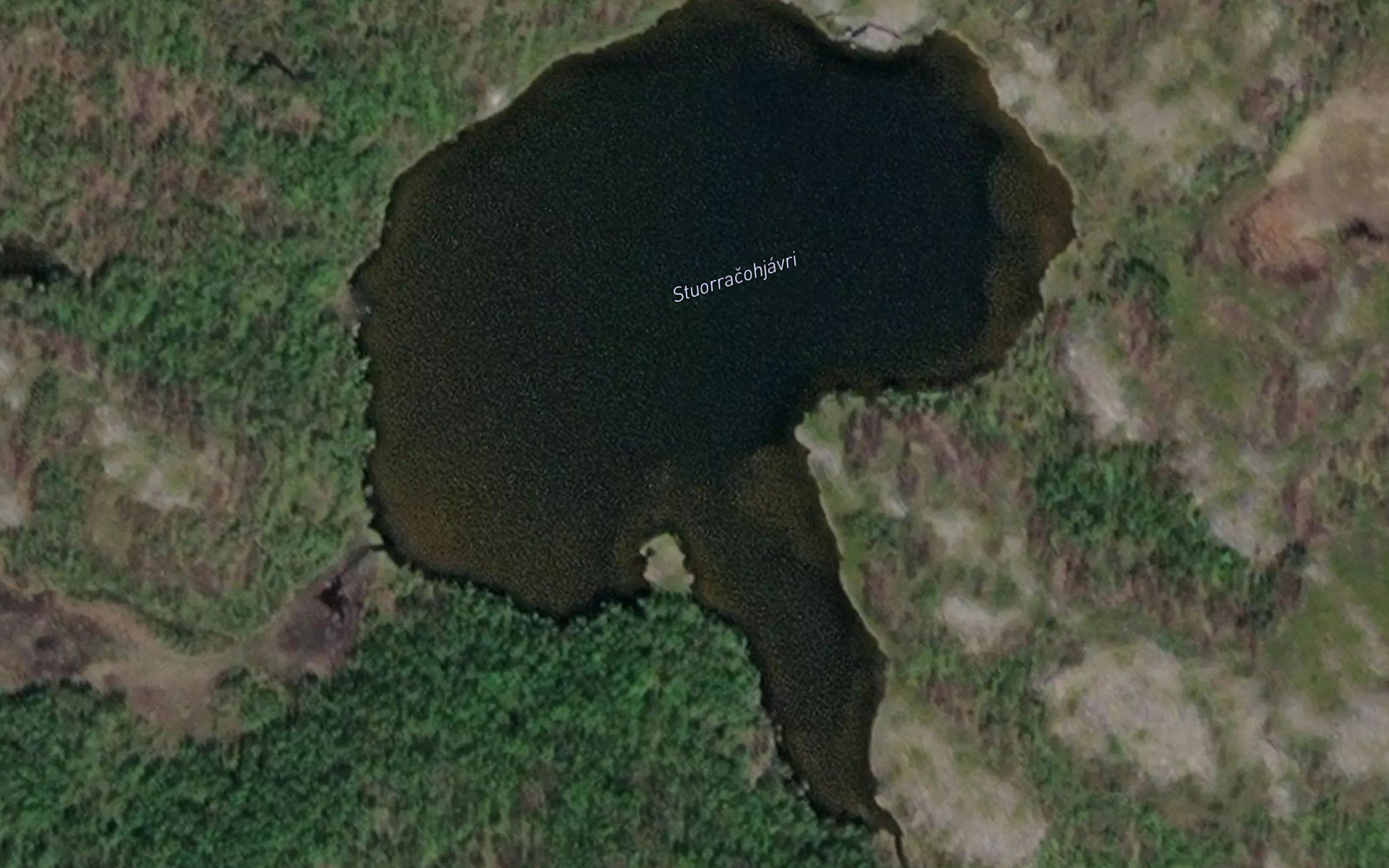 Stuorracakjavrit