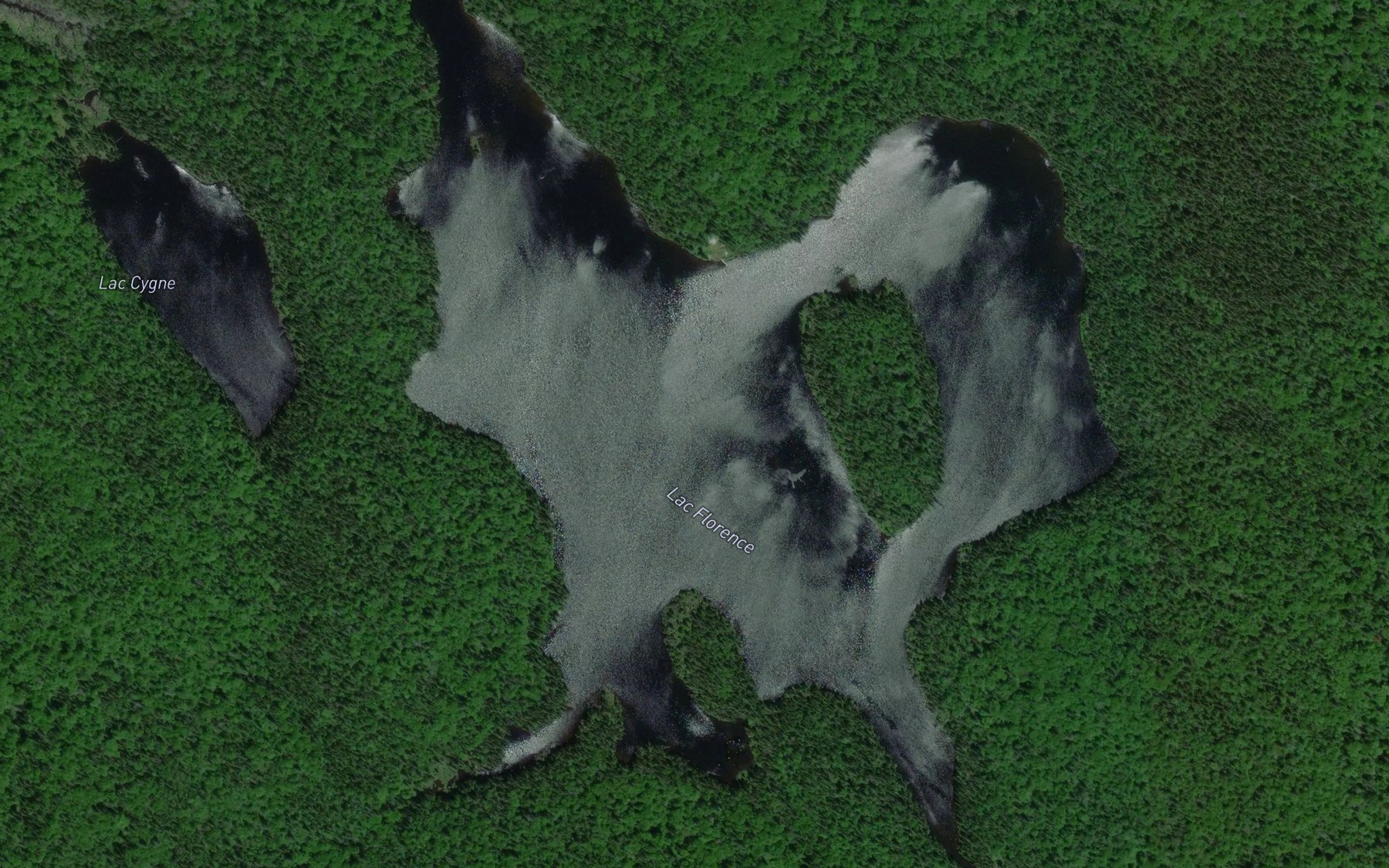Satellite map of the Lac Florence