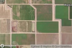 Trifolium Fourteen Drain