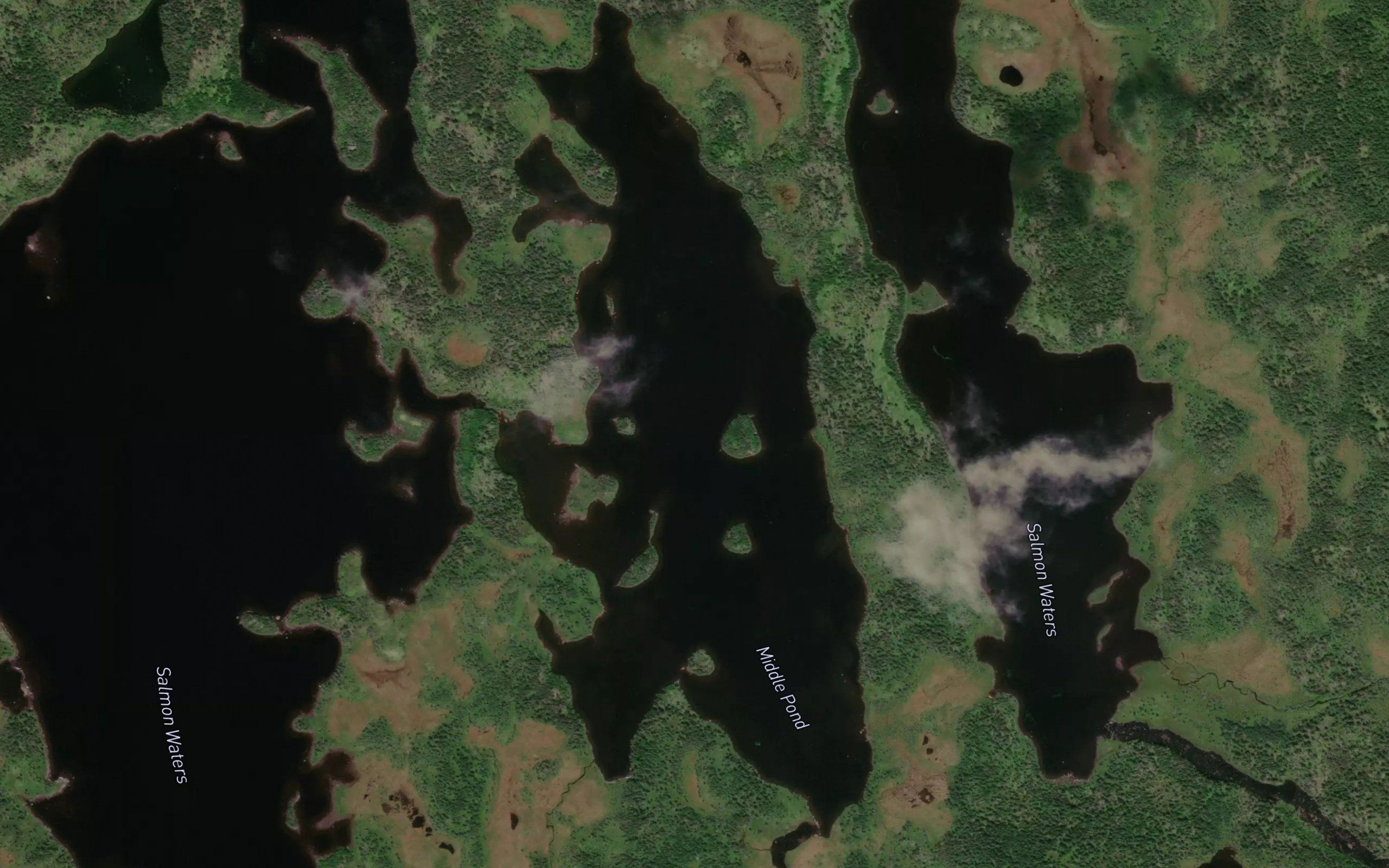 Salmon Waters