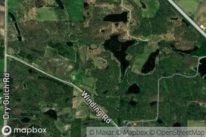Snapping Turtle Pond