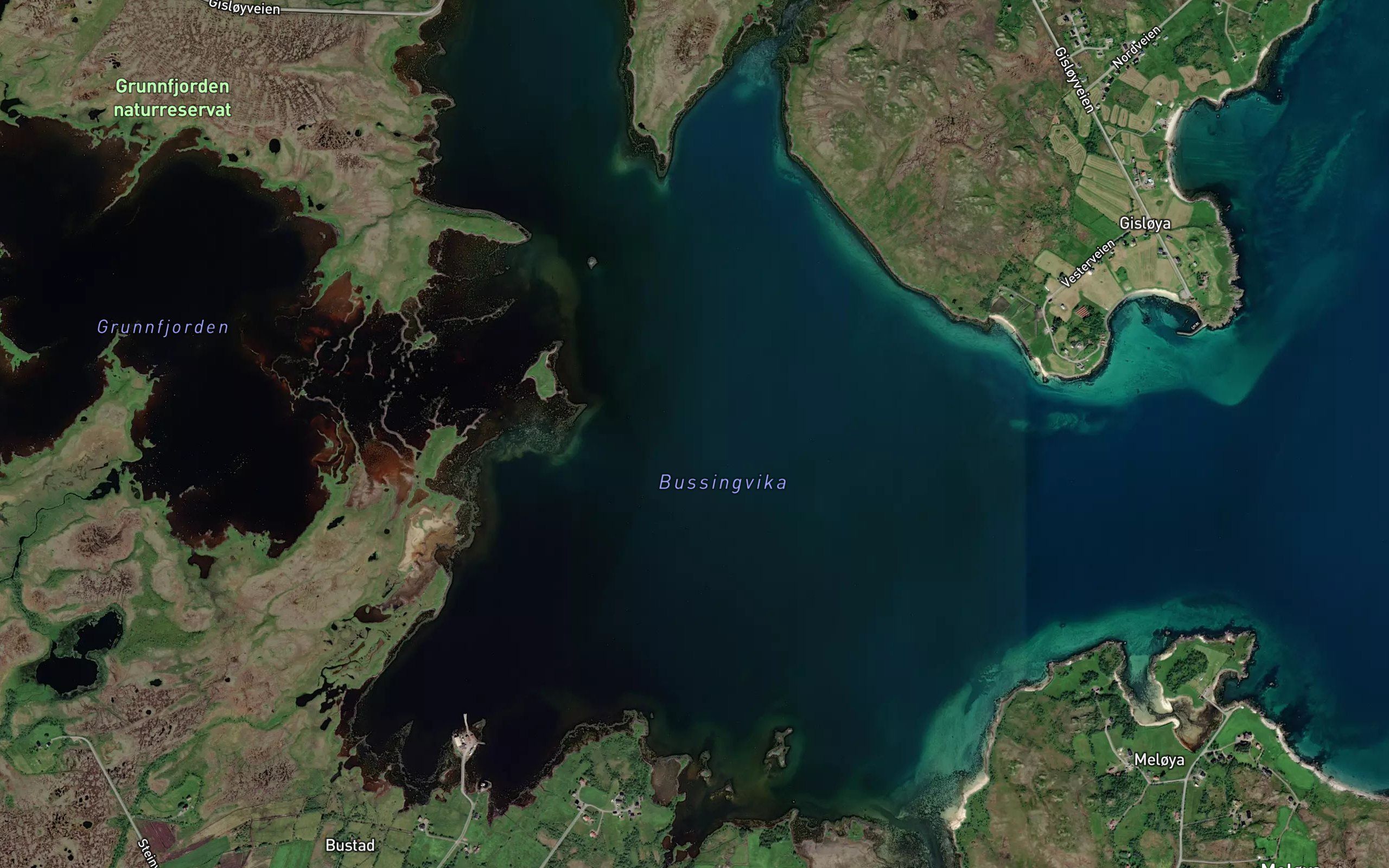 Bussingvika