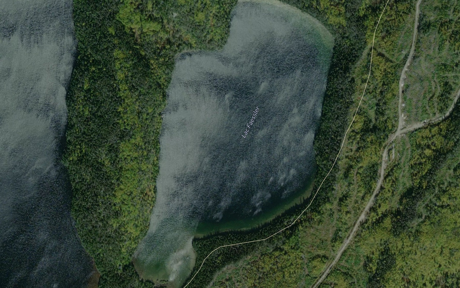 Satellite map of the Lac Faessler