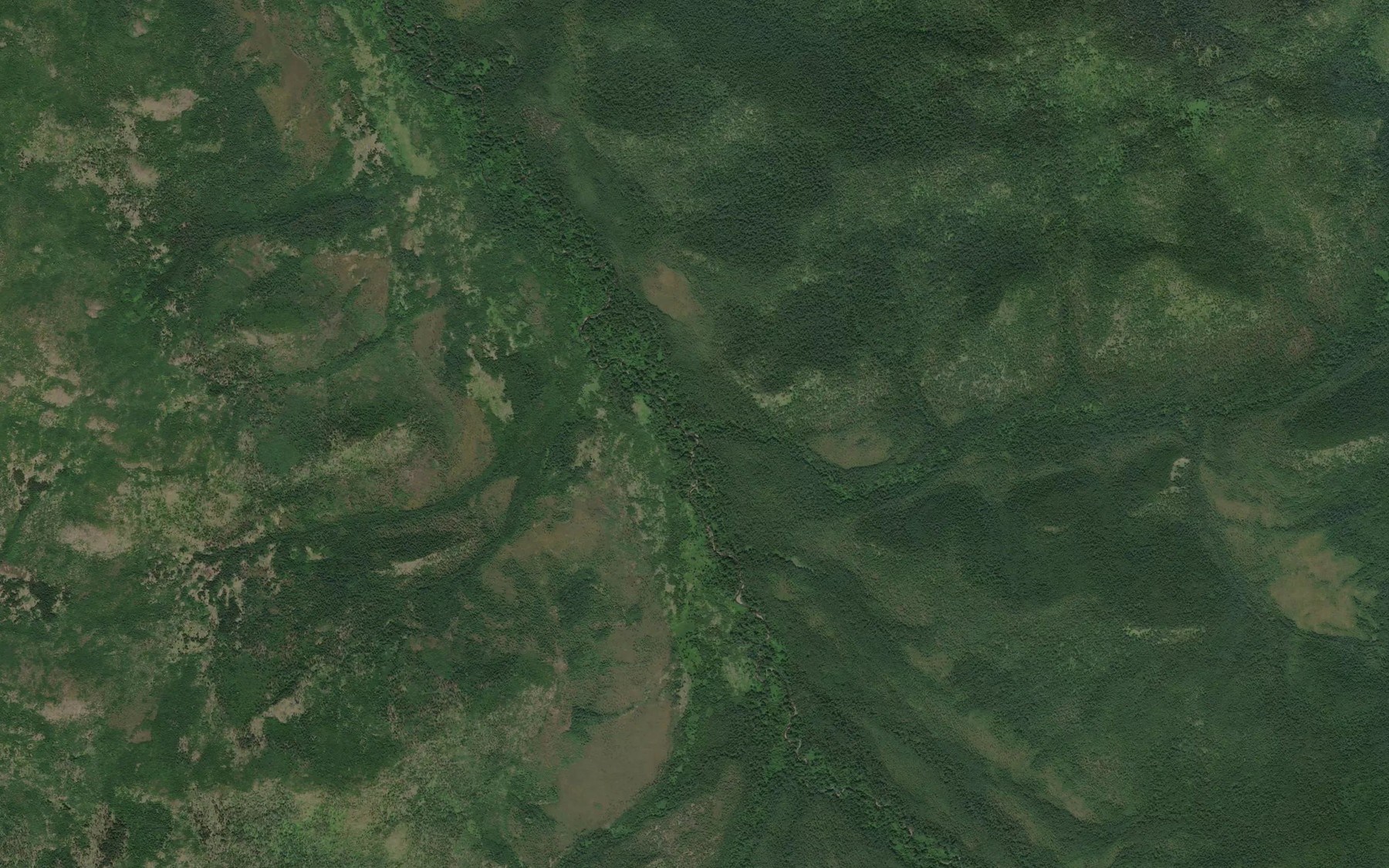 Satellite map of the Chistyy