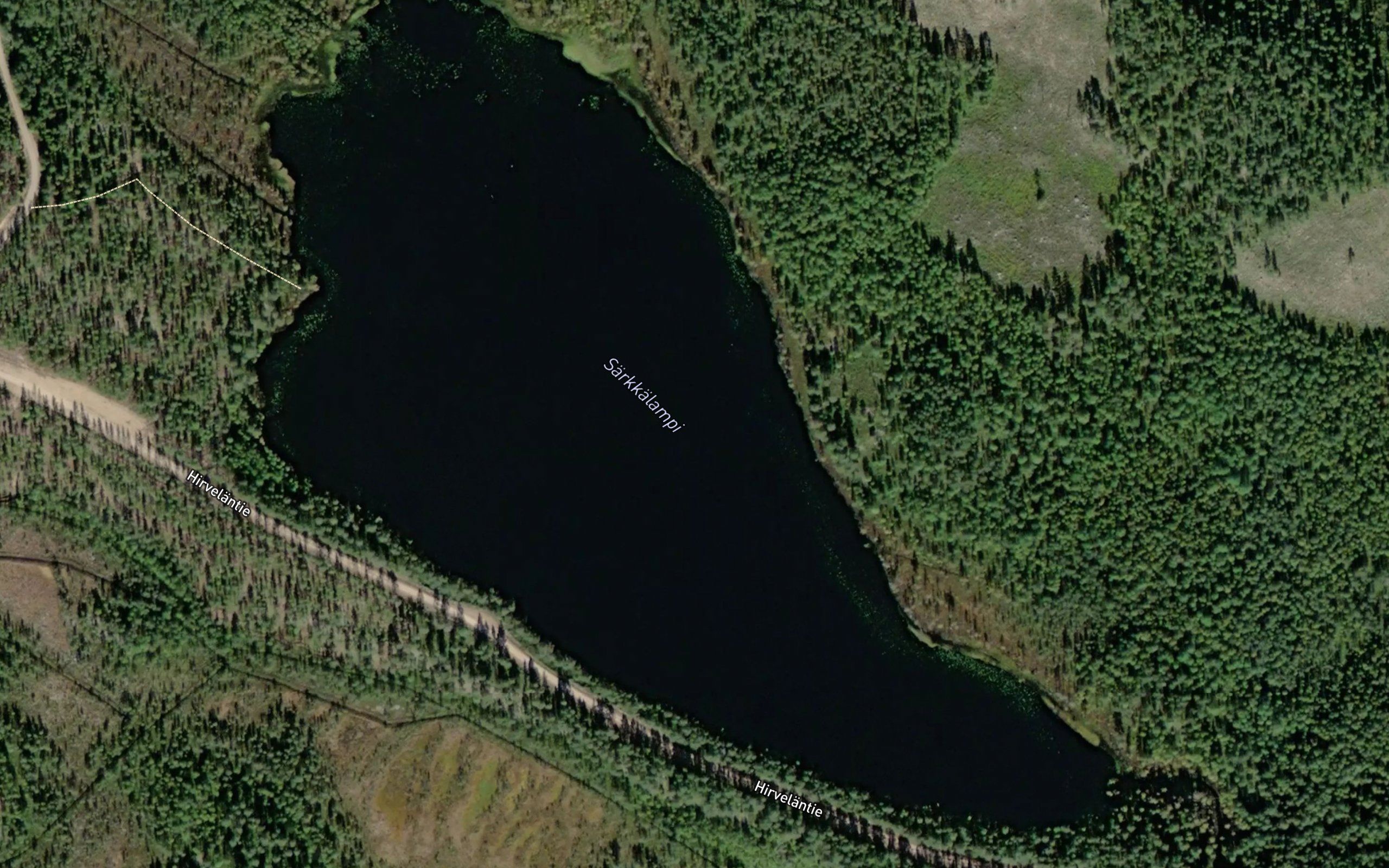 Sarkkalampi