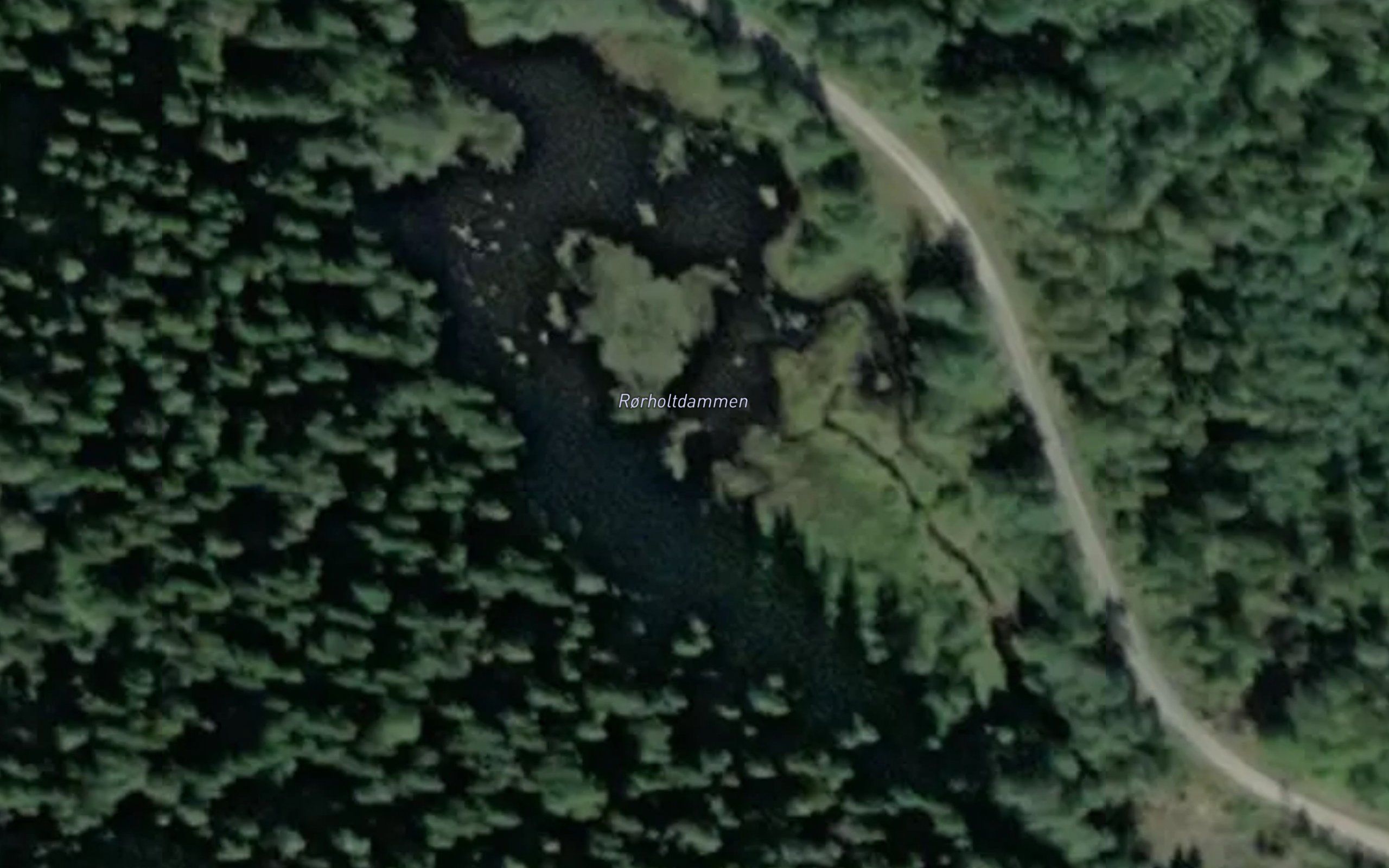 Rorholtdammen