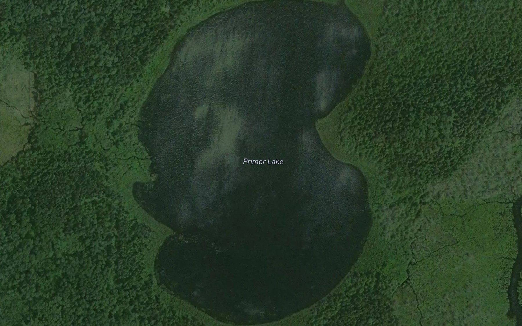 Satellite map of the Primer Lake