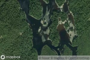 Gold and Galligan Lagoon