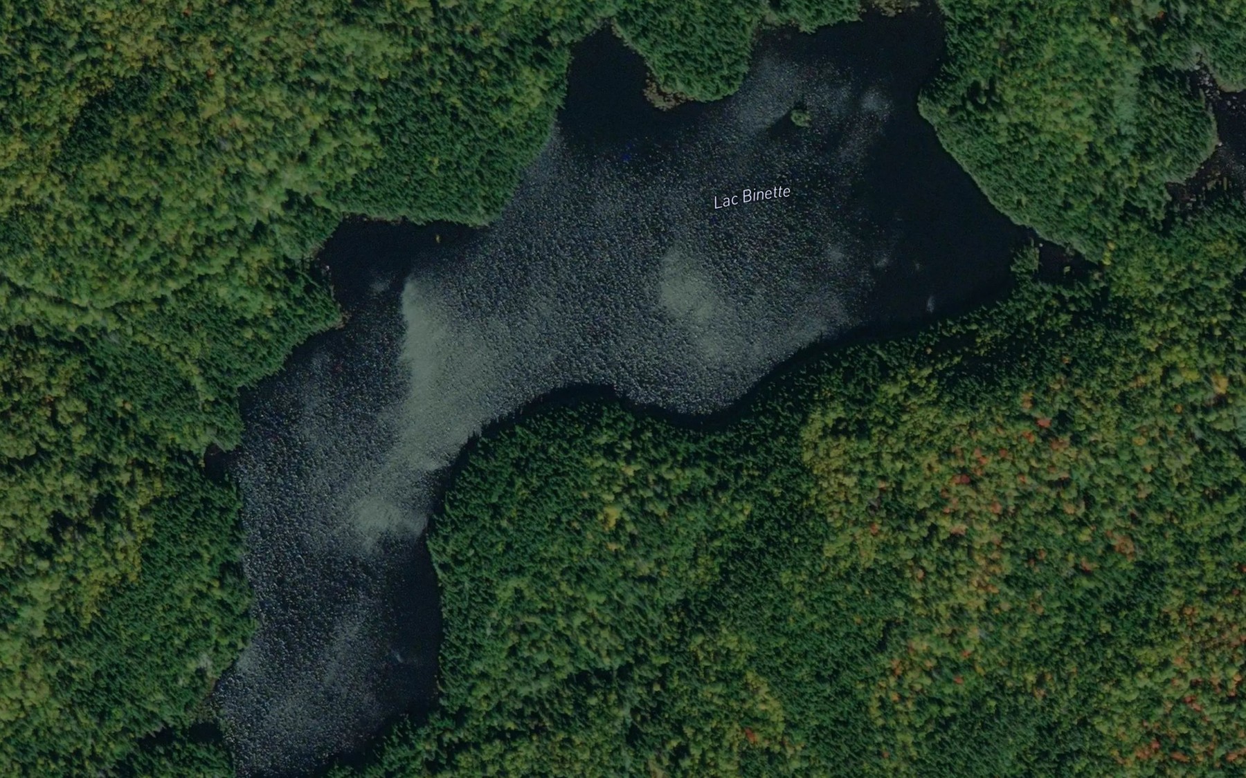 Satellite map of the Lac Binette