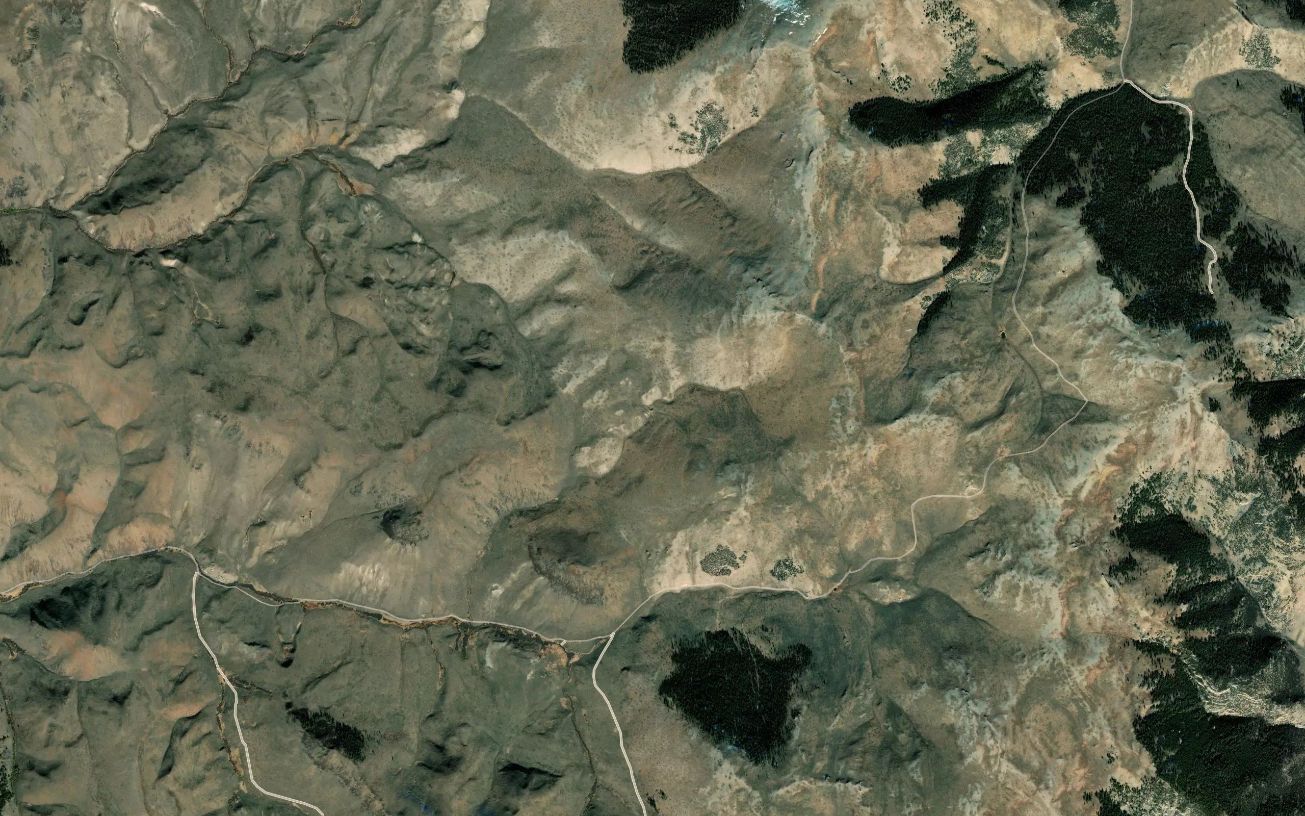 Douglas Spring