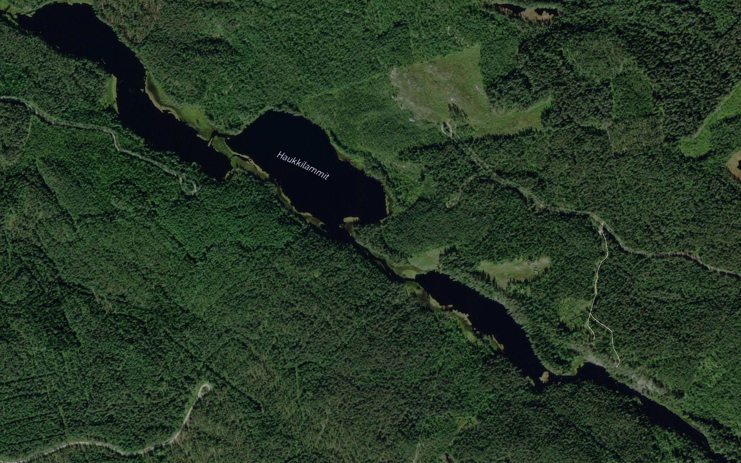 Haukilammit