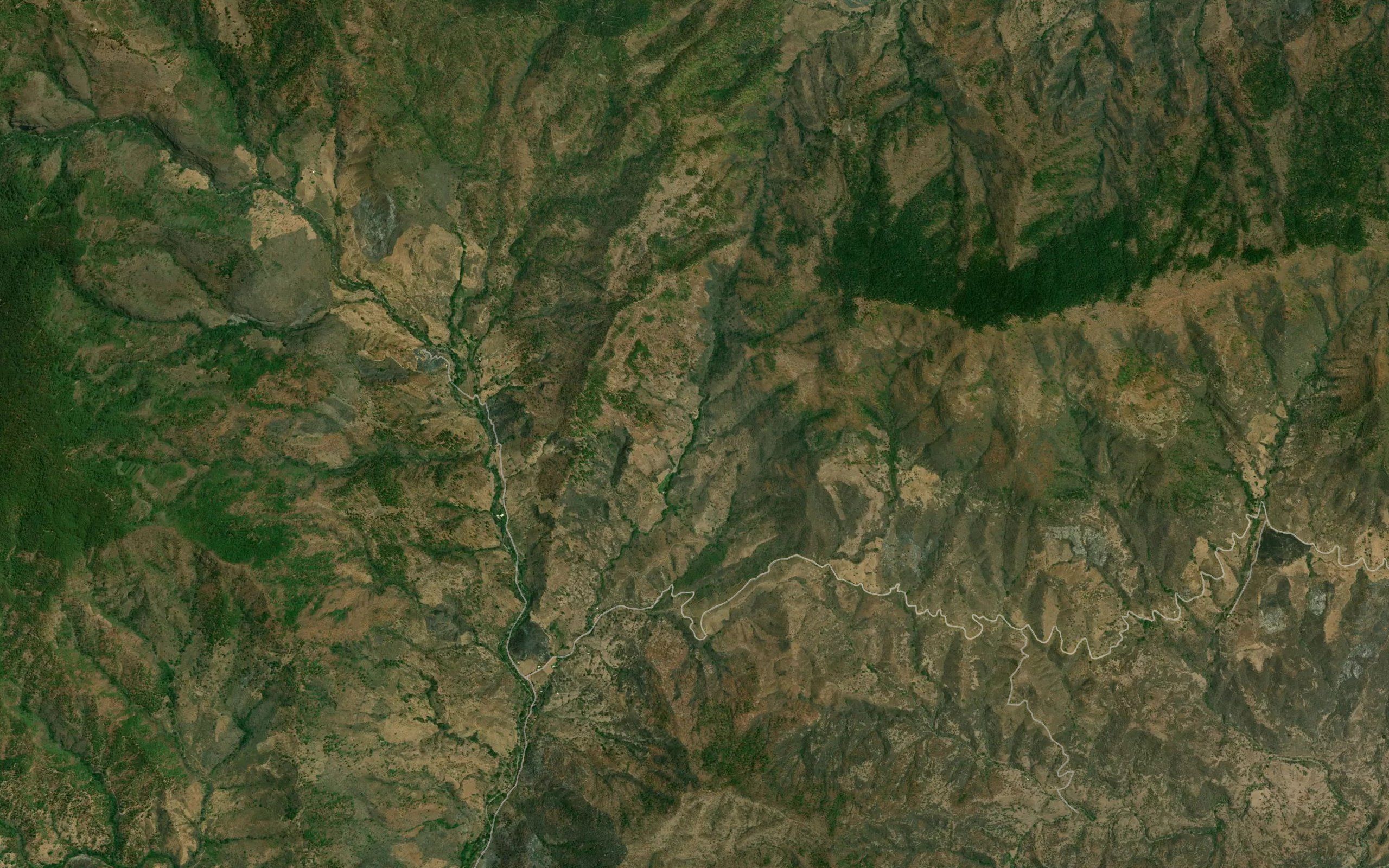 Los Nogales