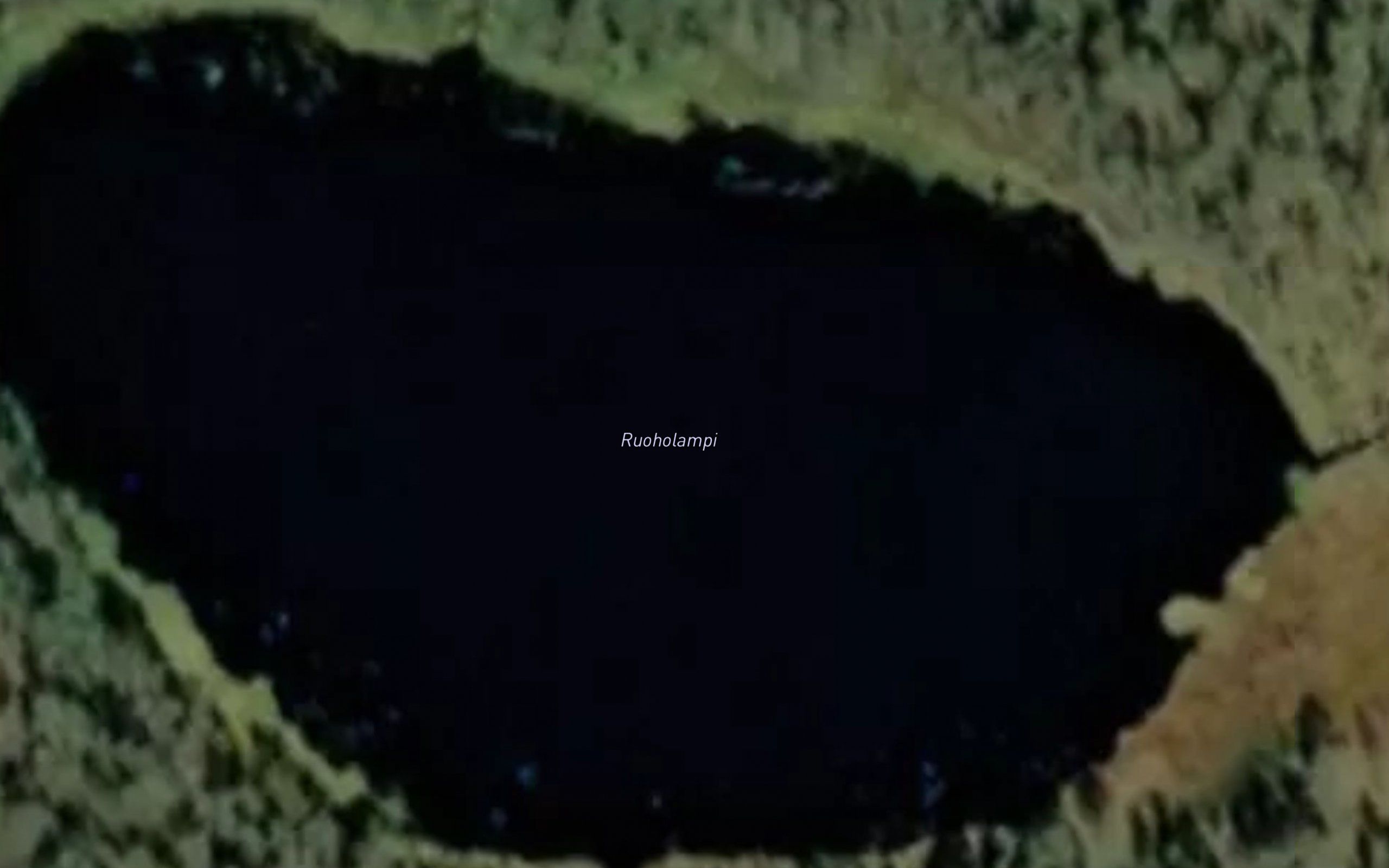 Ruoholampi