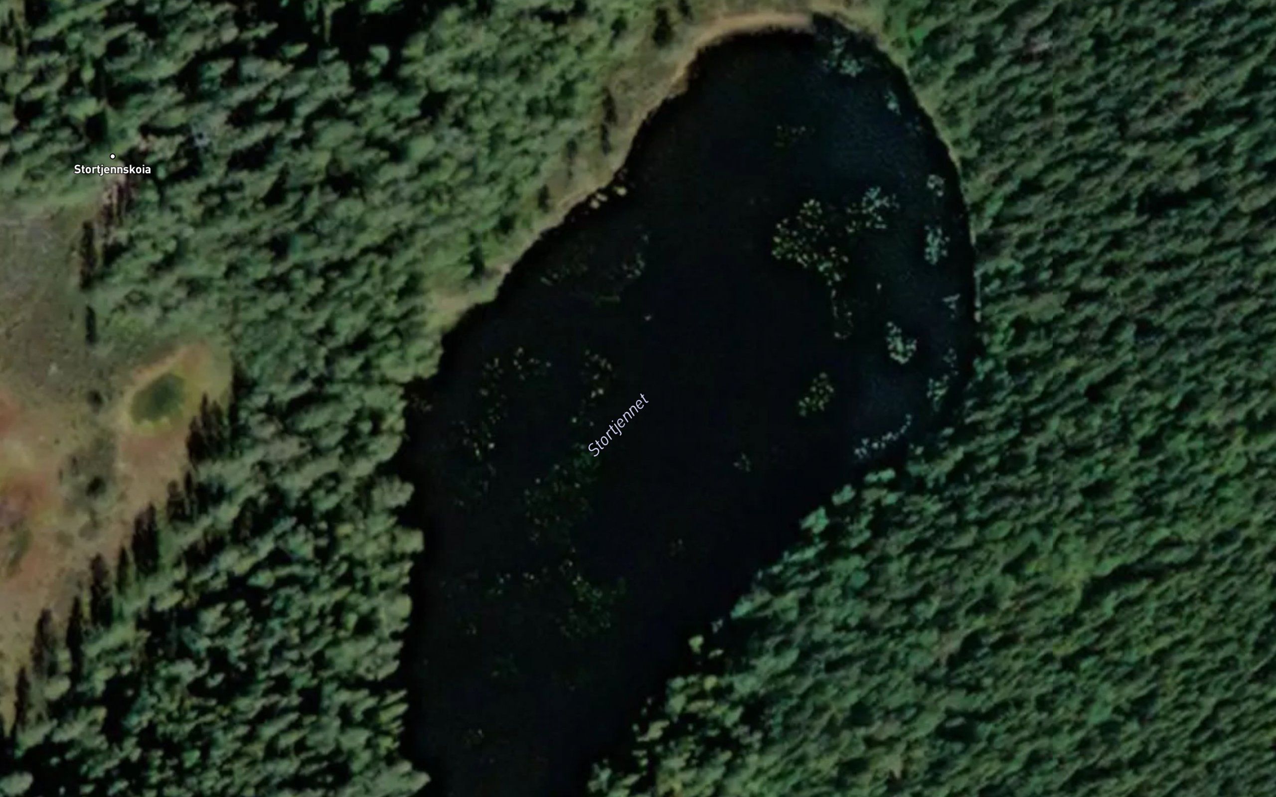 Stortjennet